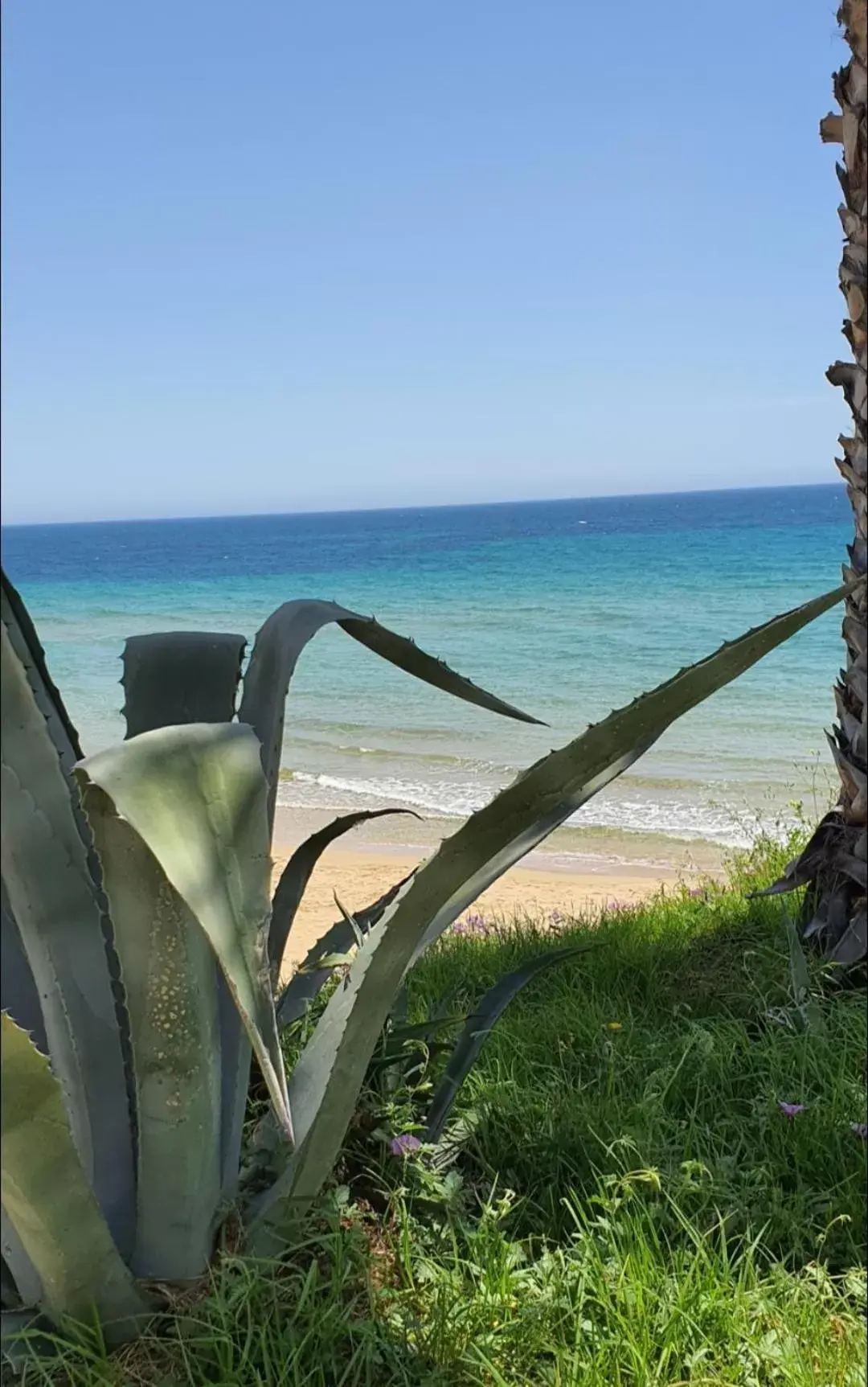 Beach in La Rosa dei venti