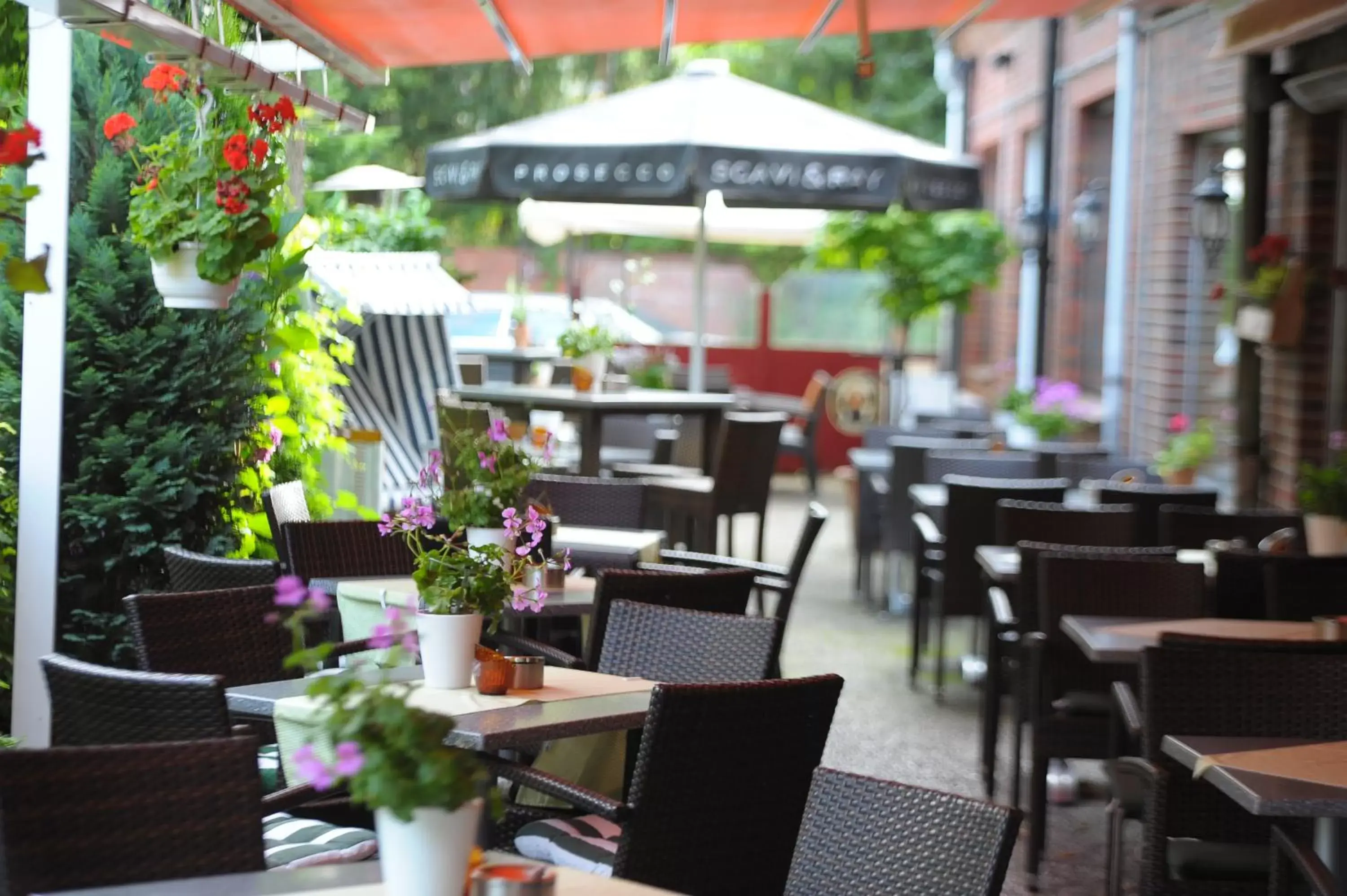 Patio, Restaurant/Places to Eat in Hotel Zum Zeppelin Hamburg