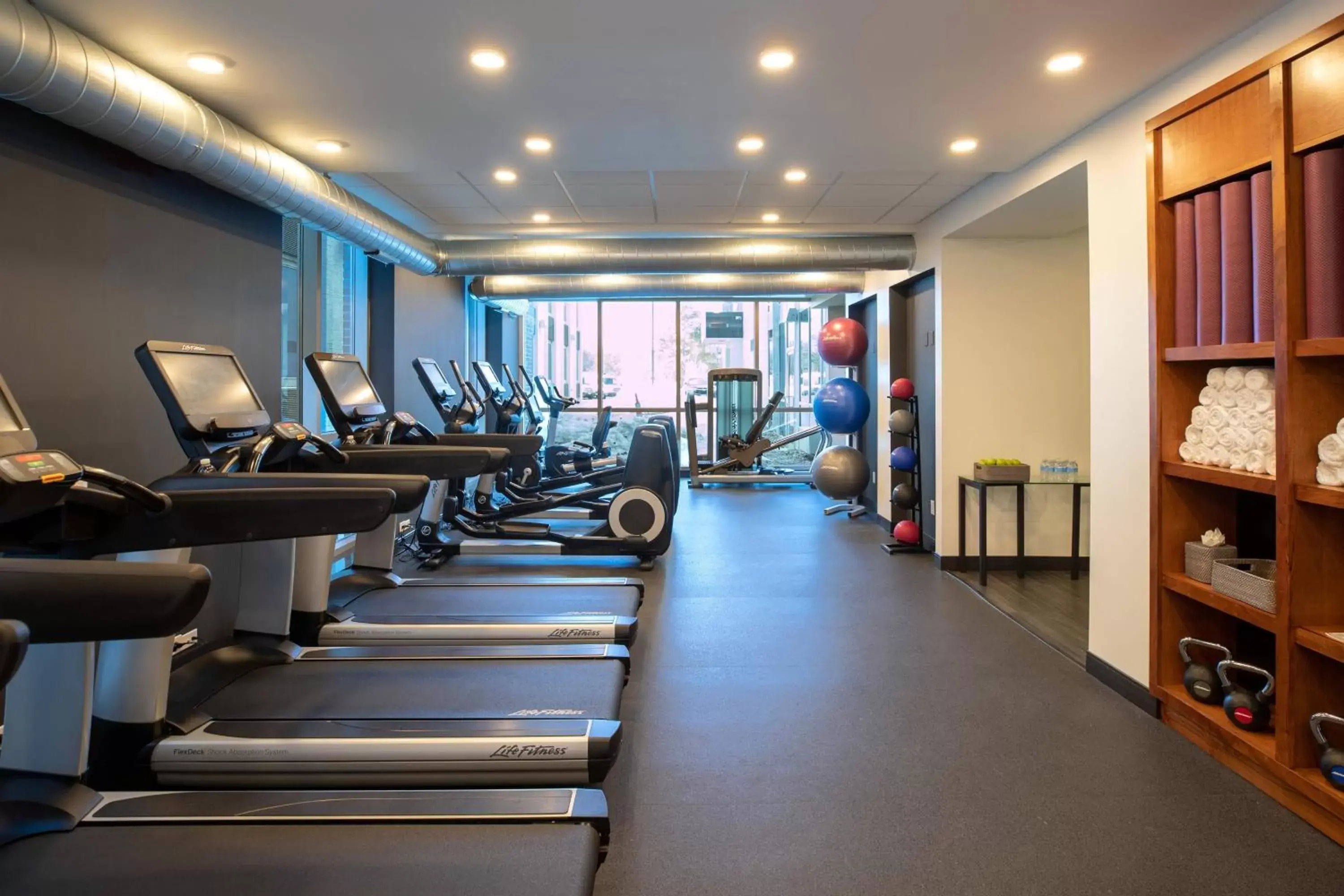 Fitness centre/facilities, Fitness Center/Facilities in Renaissance Minneapolis Bloomington Hotel
