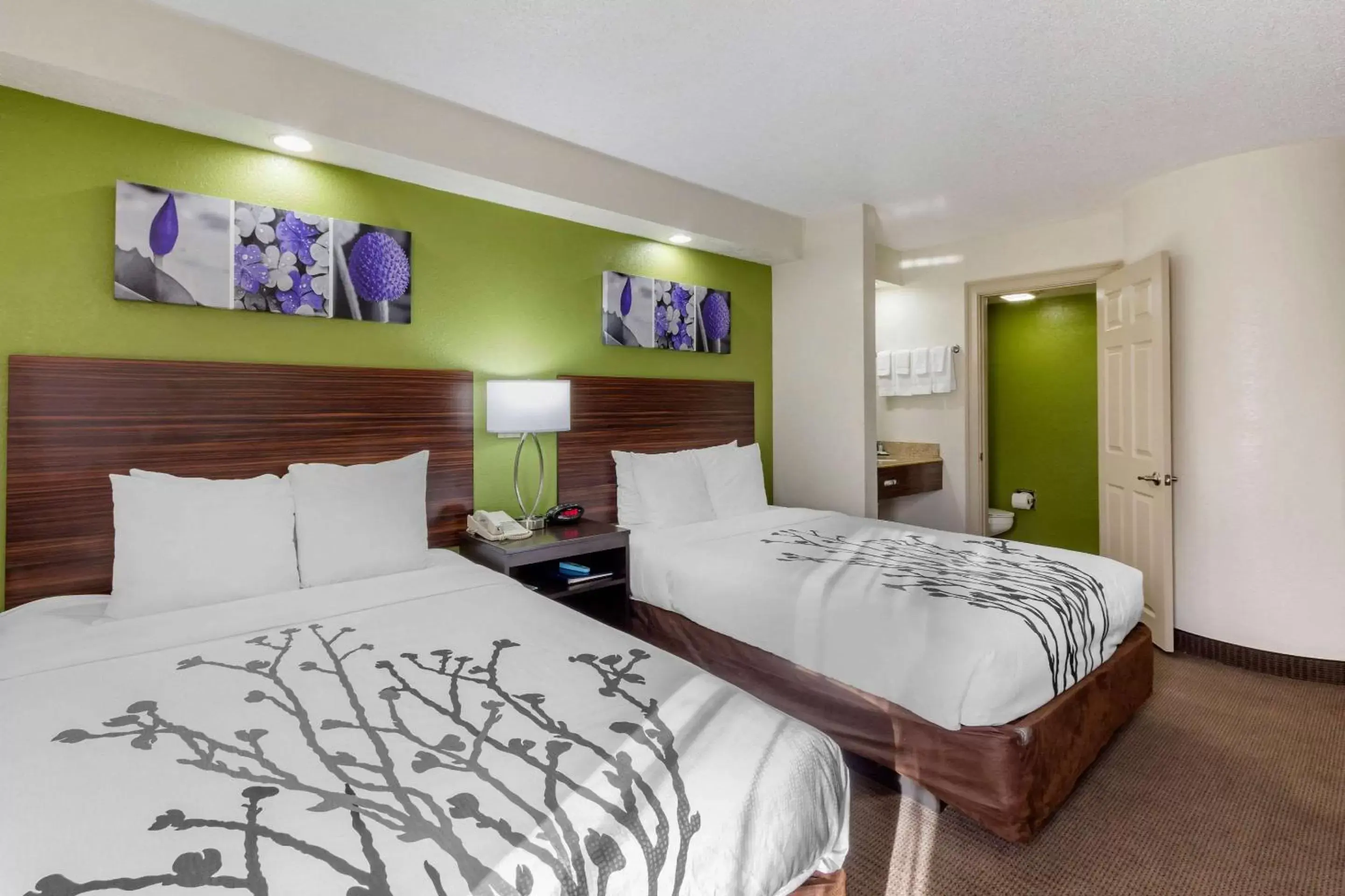 Photo of the whole room, Bed in Sleep Inn near Busch Gardens - USF