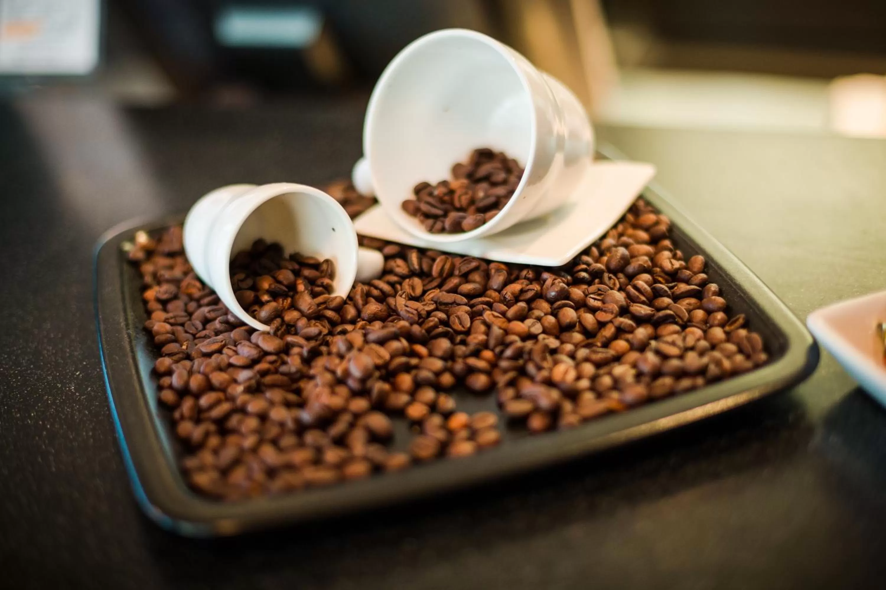 Food in Hotel Dolphin - Adult friendly