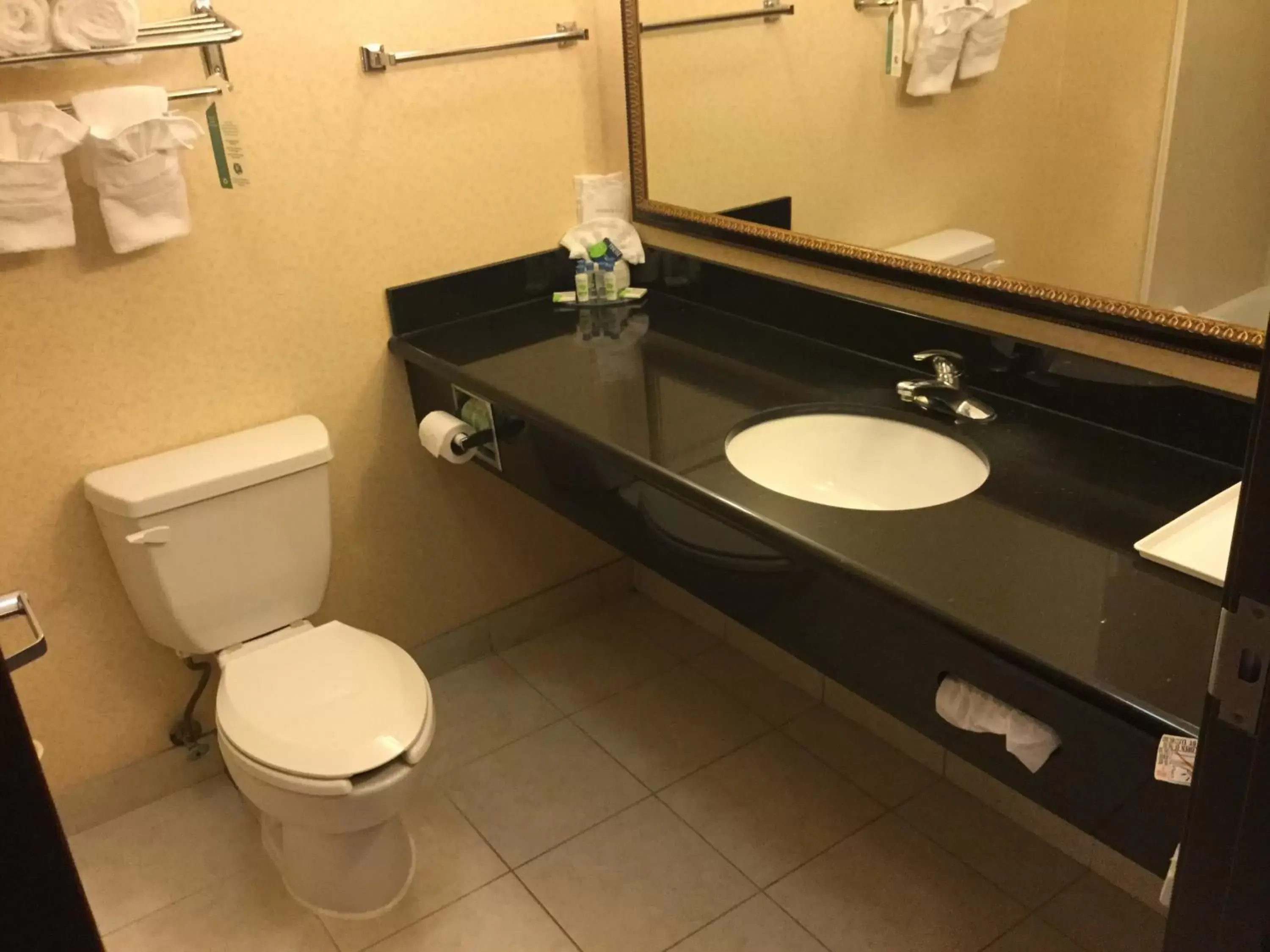 Bathroom in Holiday Inn Express & Suites Longview South I-20, an IHG Hotel