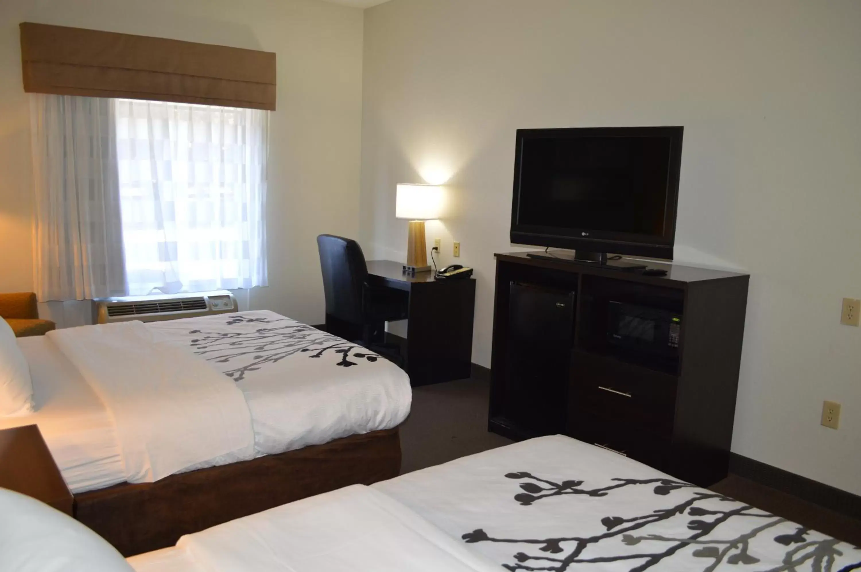 Queen Room with Two Queen Beds - Non-Smoking in Sleep Inn & Suites Virginia Horse Center