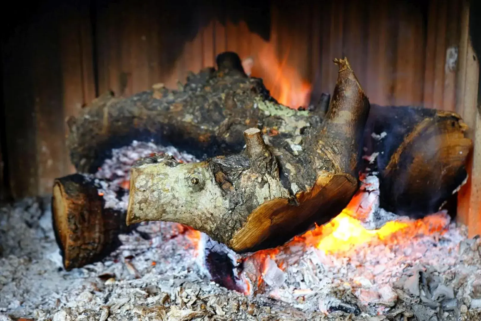 BBQ facilities in TRULLO CARMEN