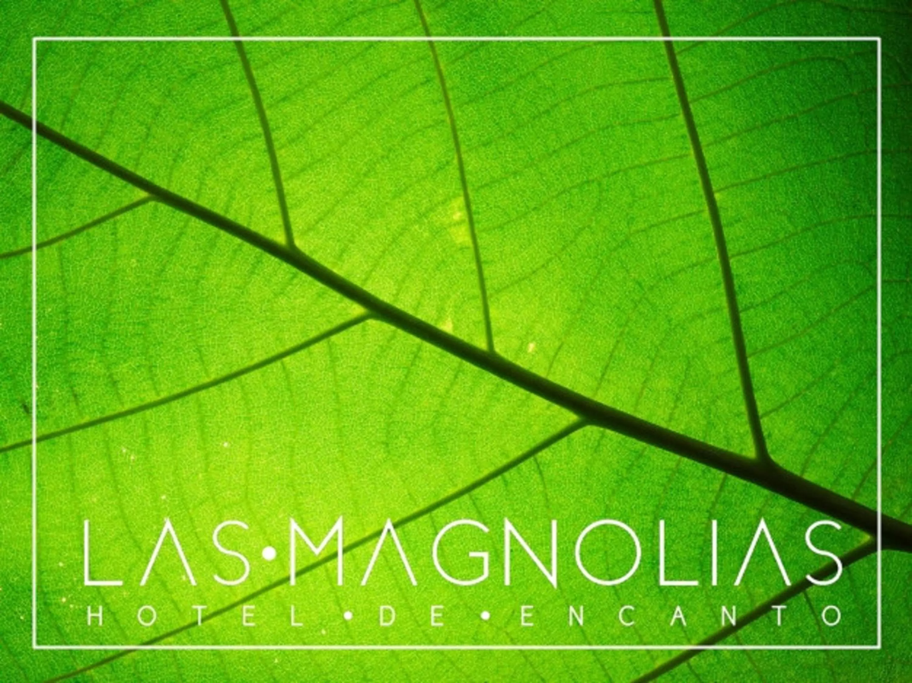Las Magnolias Hotel Boutique
