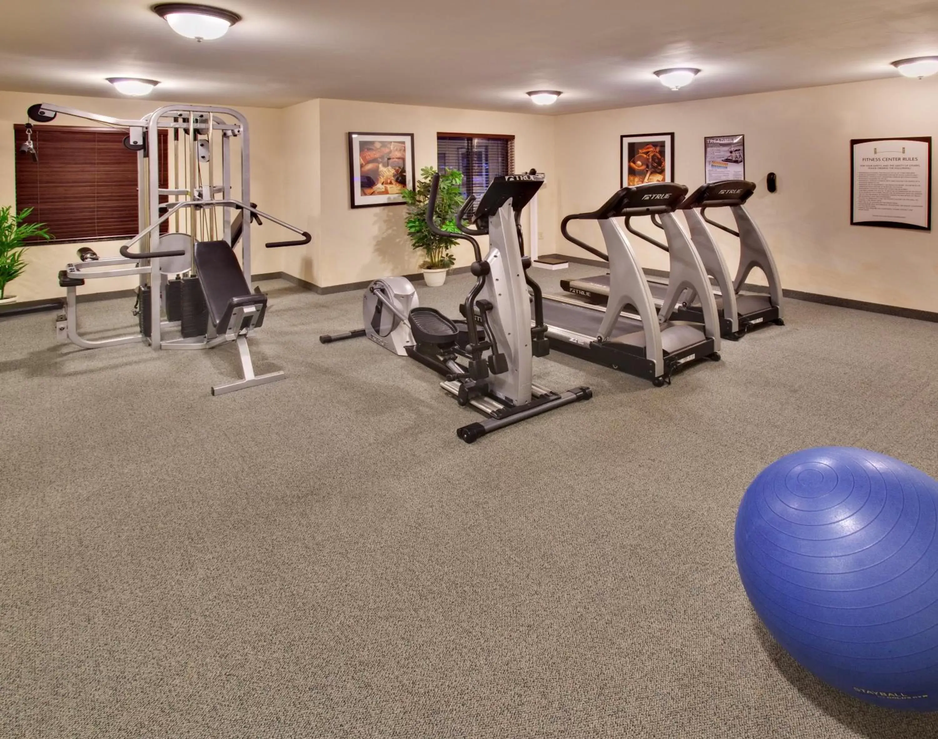 Fitness centre/facilities in Staybridge Suites Davenport by IHG Fitness centre/facilities in Staybridge Suites Davenport by IHG