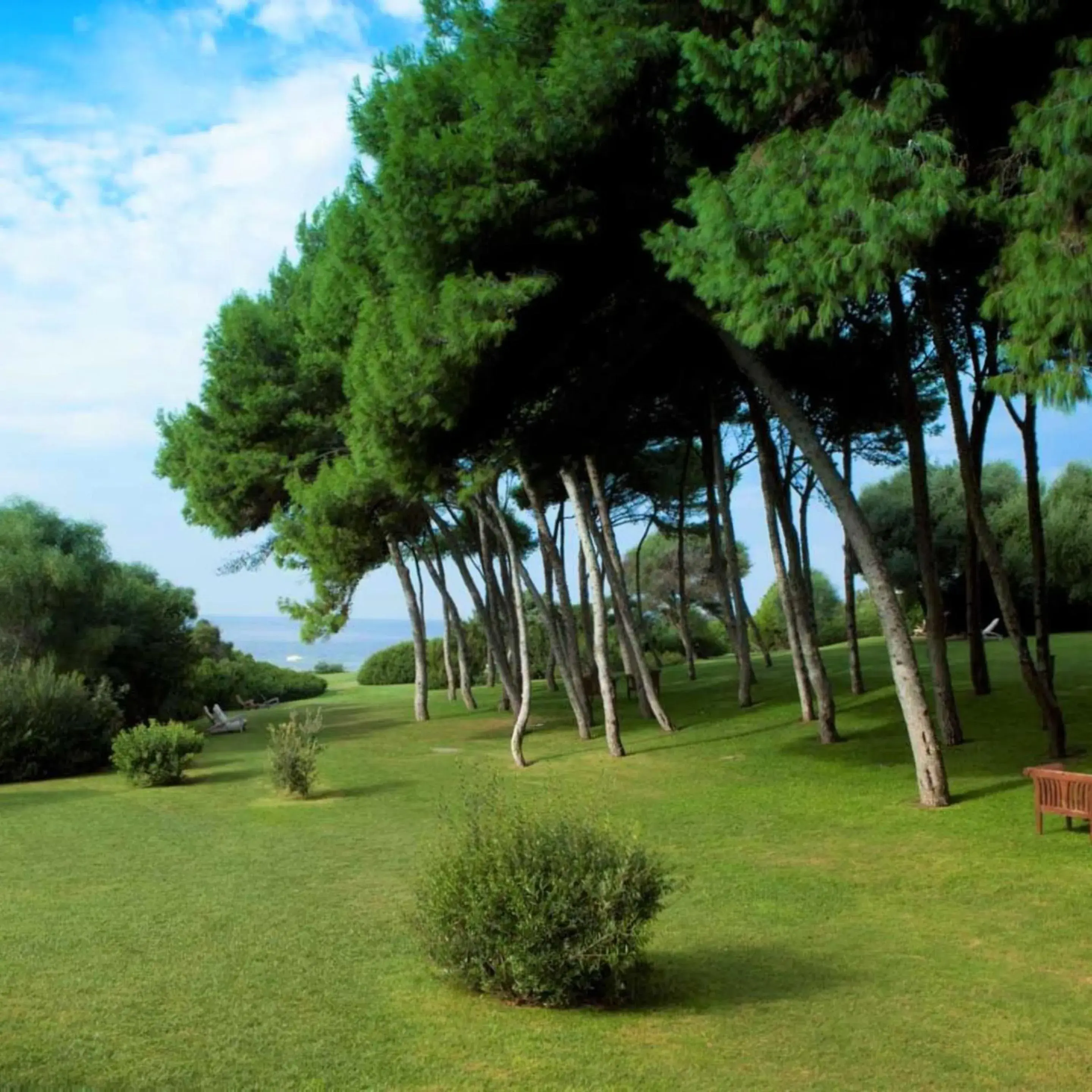 Garden in Hotel Cala Caterina