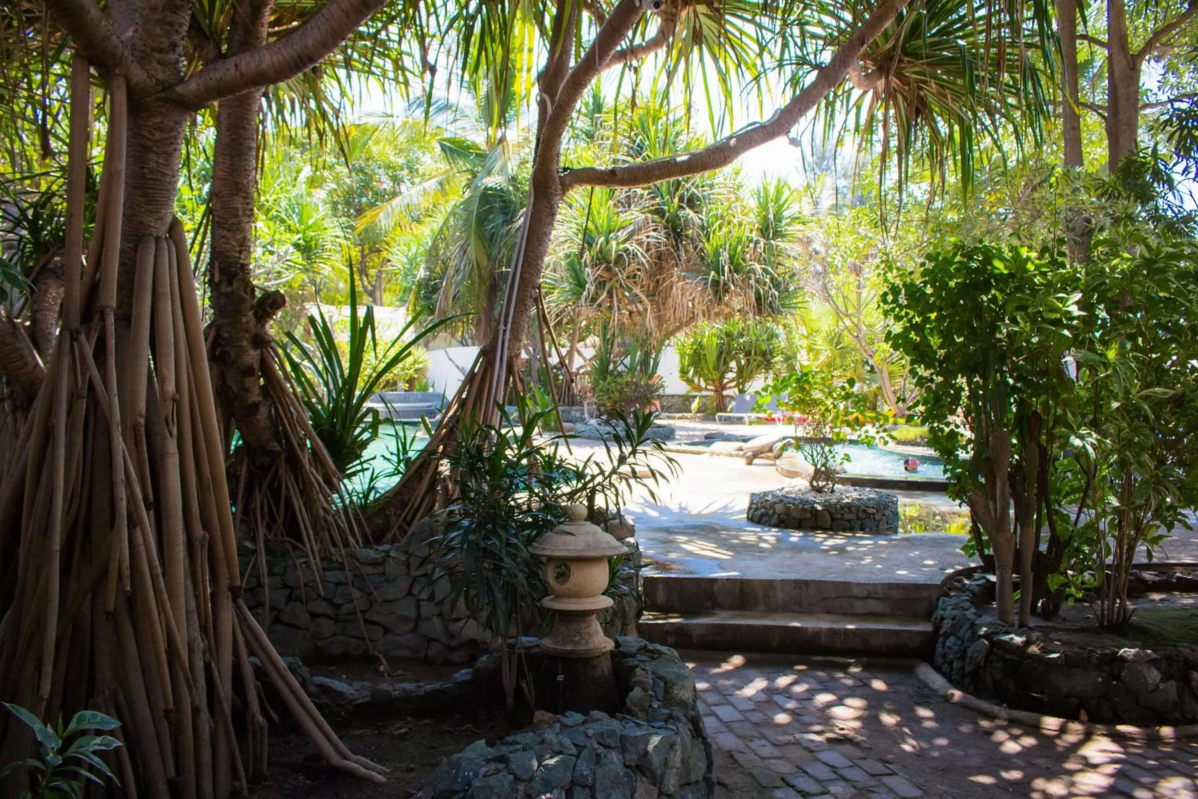 Garden in Sunrise Resort