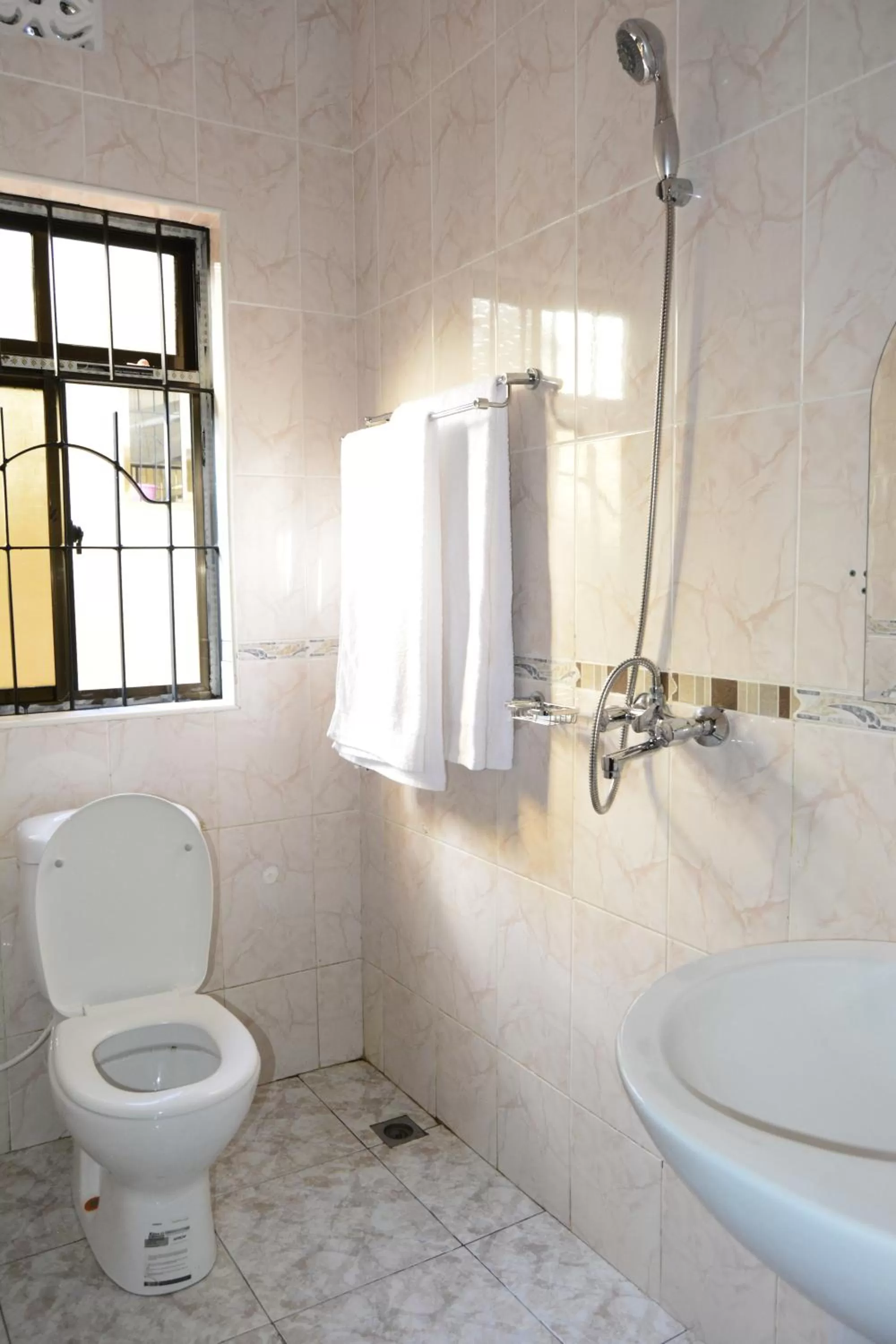 Toilet, Bathroom in Africa Lodge Arusha