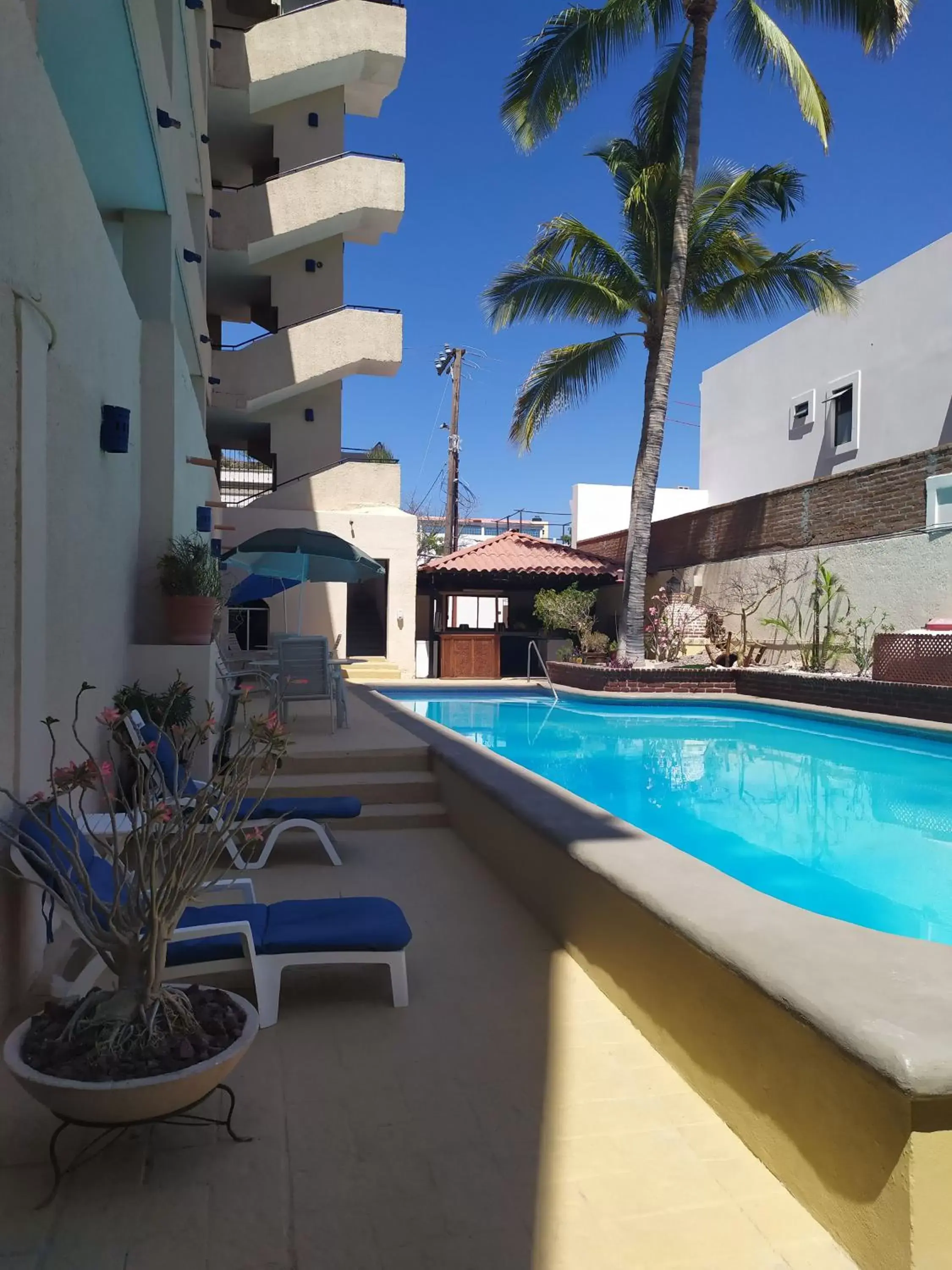 Swimming pool in Las Gaviotas Condo-Hotel La Paz BCS