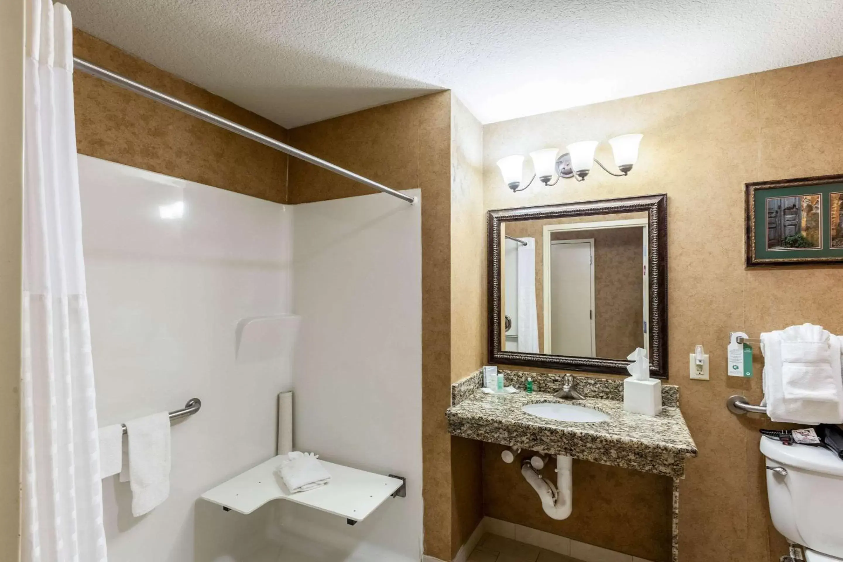 Bathroom in Comfort Suites Alamo Riverwalk