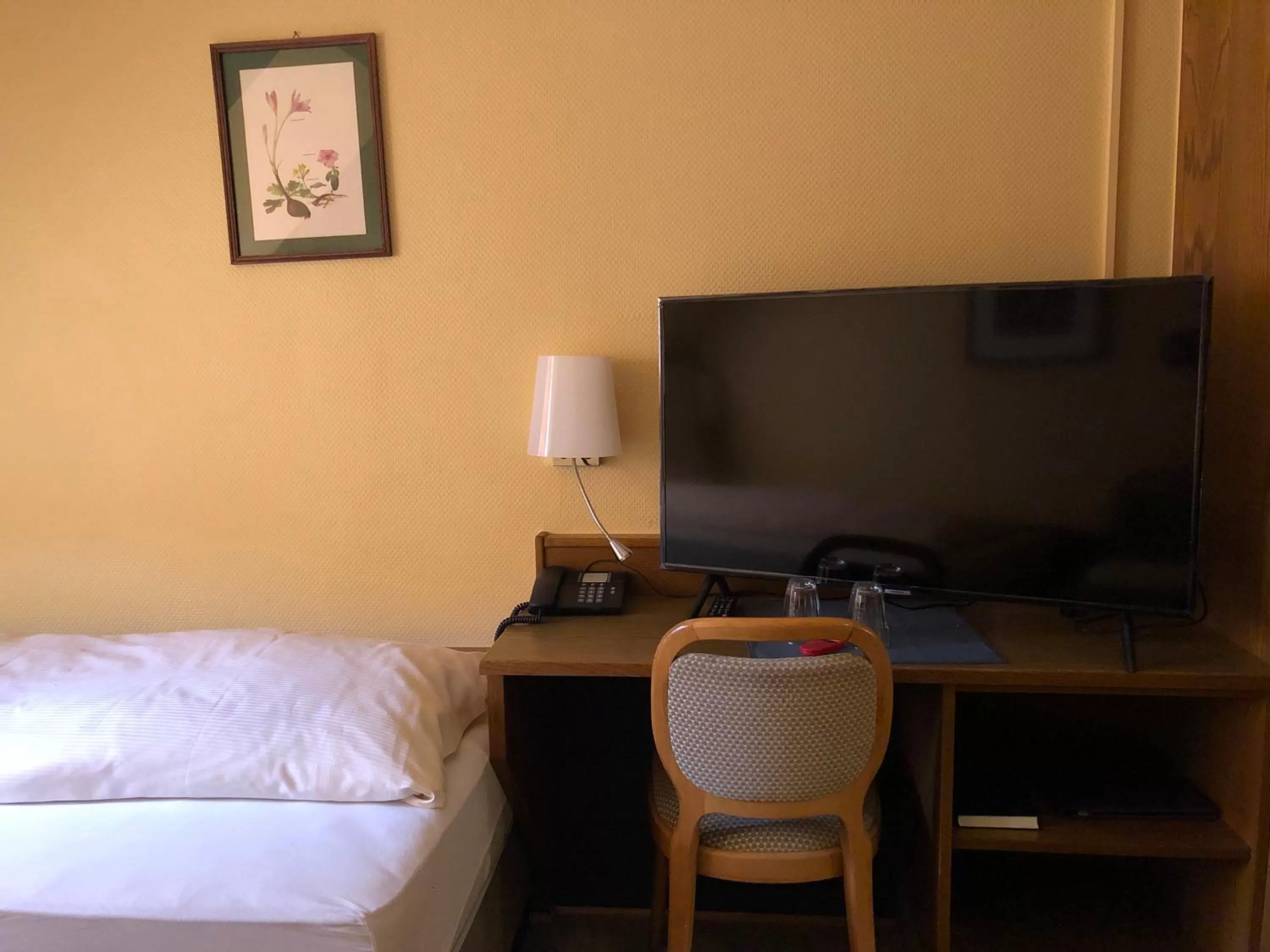 TV and multimedia, TV/Entertainment Center in Zum Winzermännle