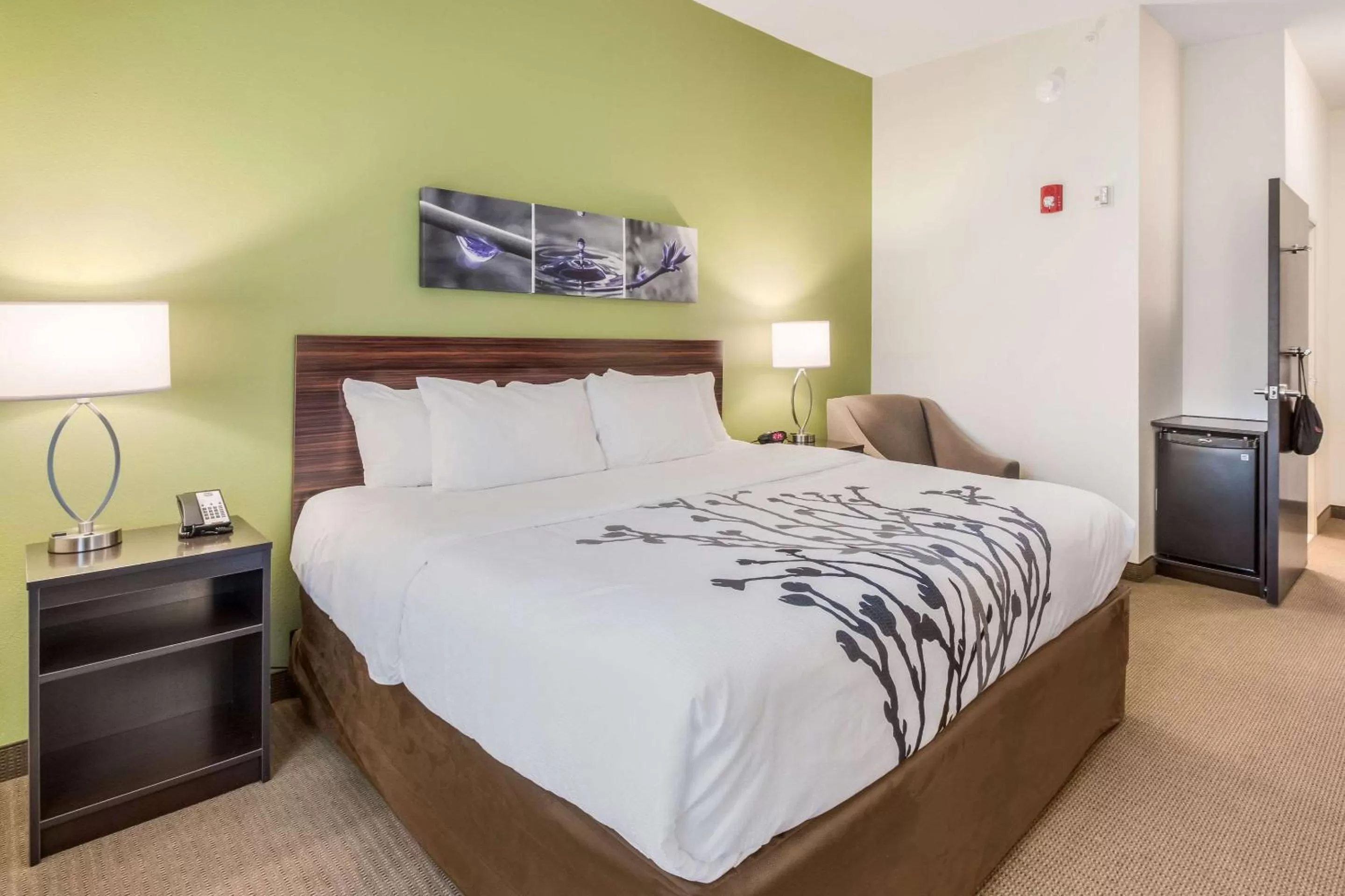 Photo of the whole room, Bed in Sleep Inn