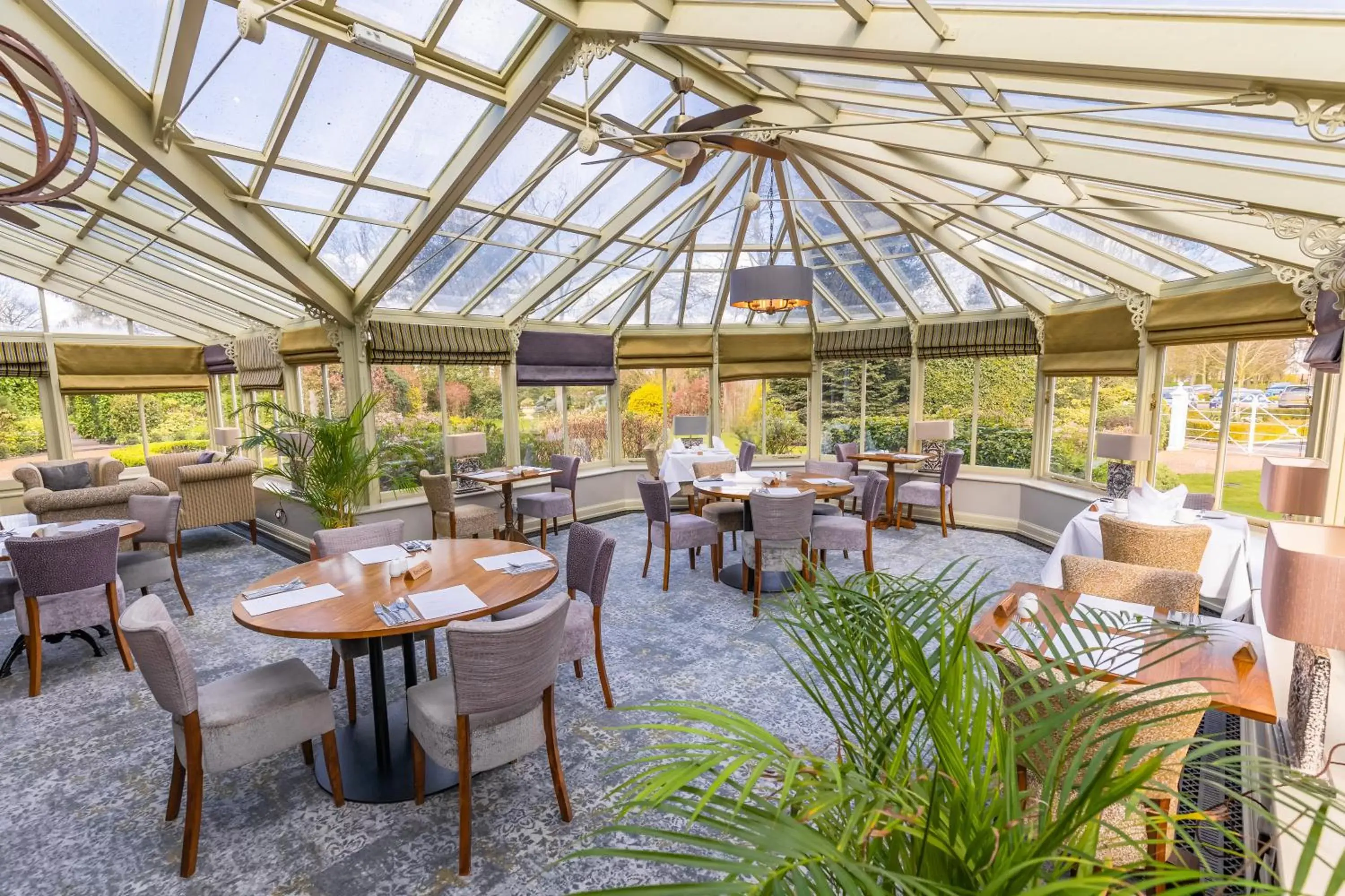 Lounge or bar, Restaurant/Places to Eat in Park Farm Hotel