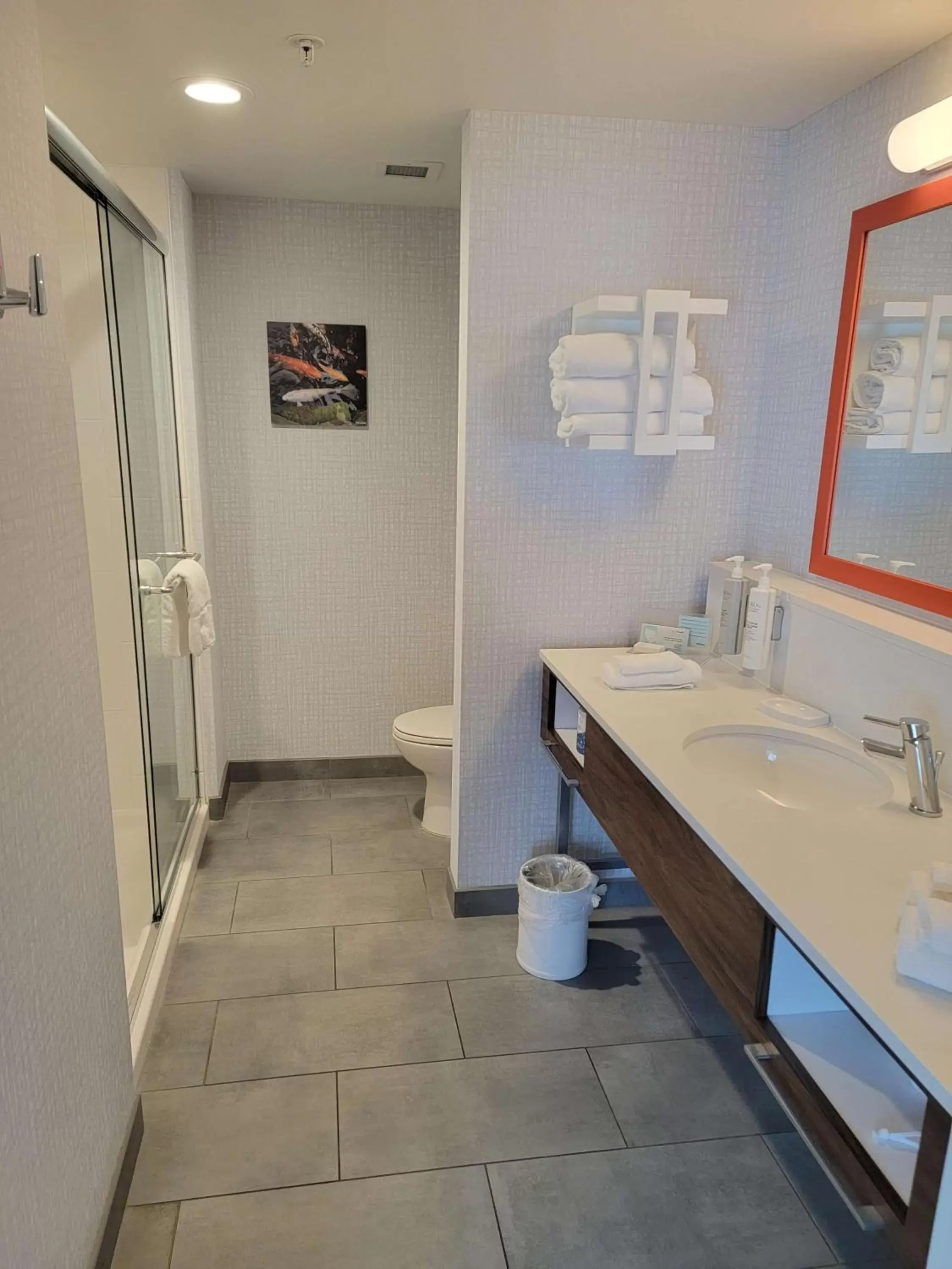 Bathroom in Hampton Inn & Suites Erie Bayfront