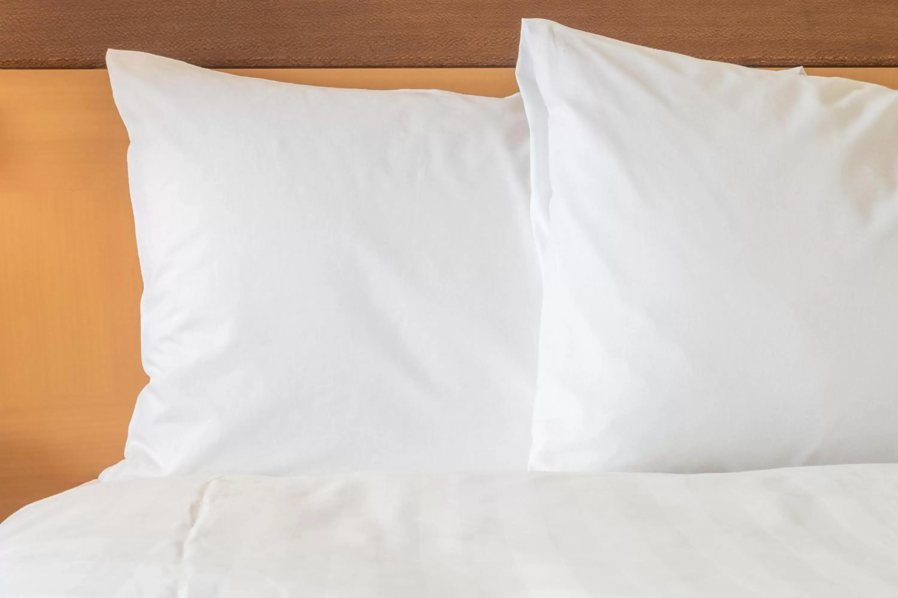 Bed in Holiday Inn Express - Starke, an IHG Hotel