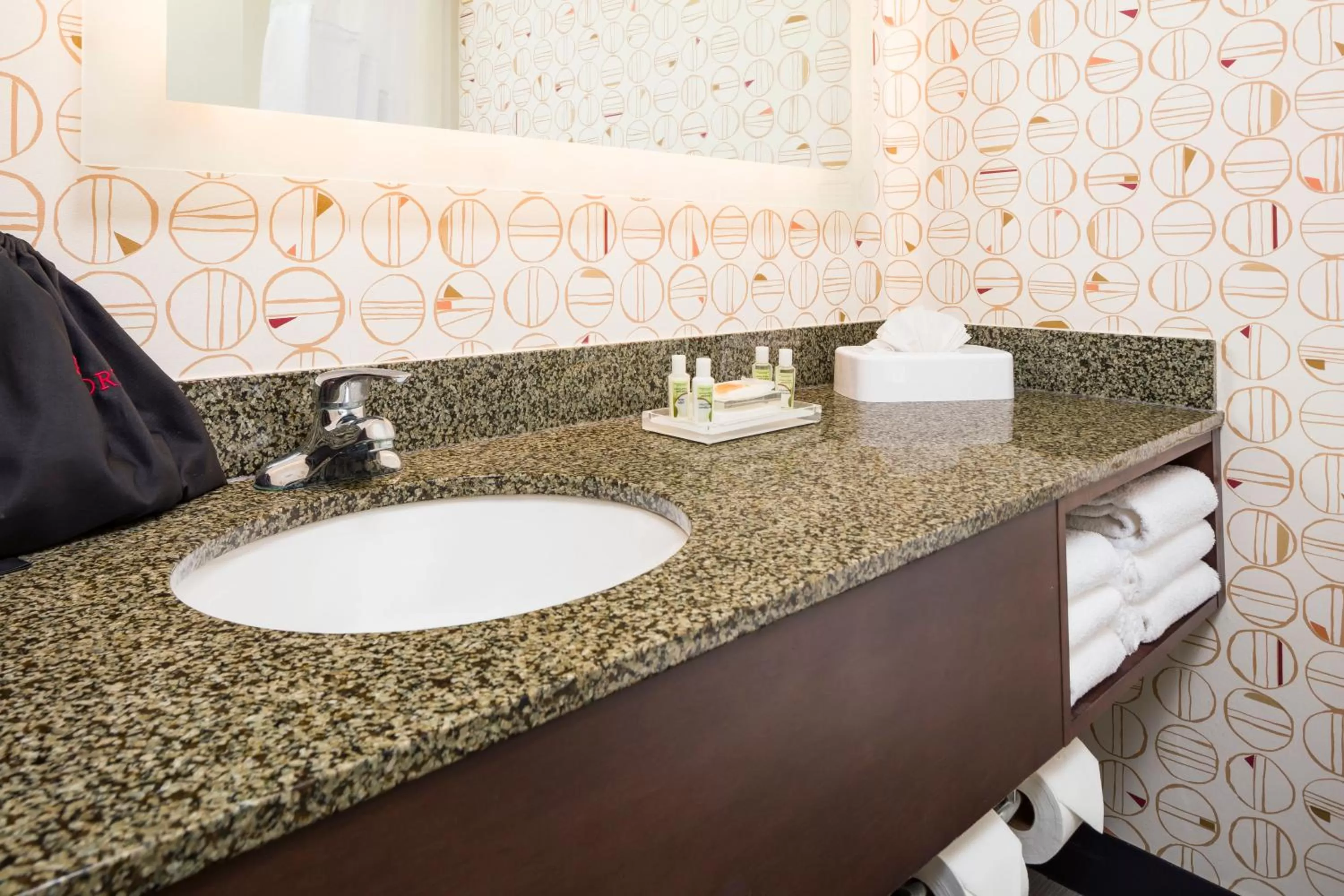 Bathroom in Holiday Inn Salem by IHG