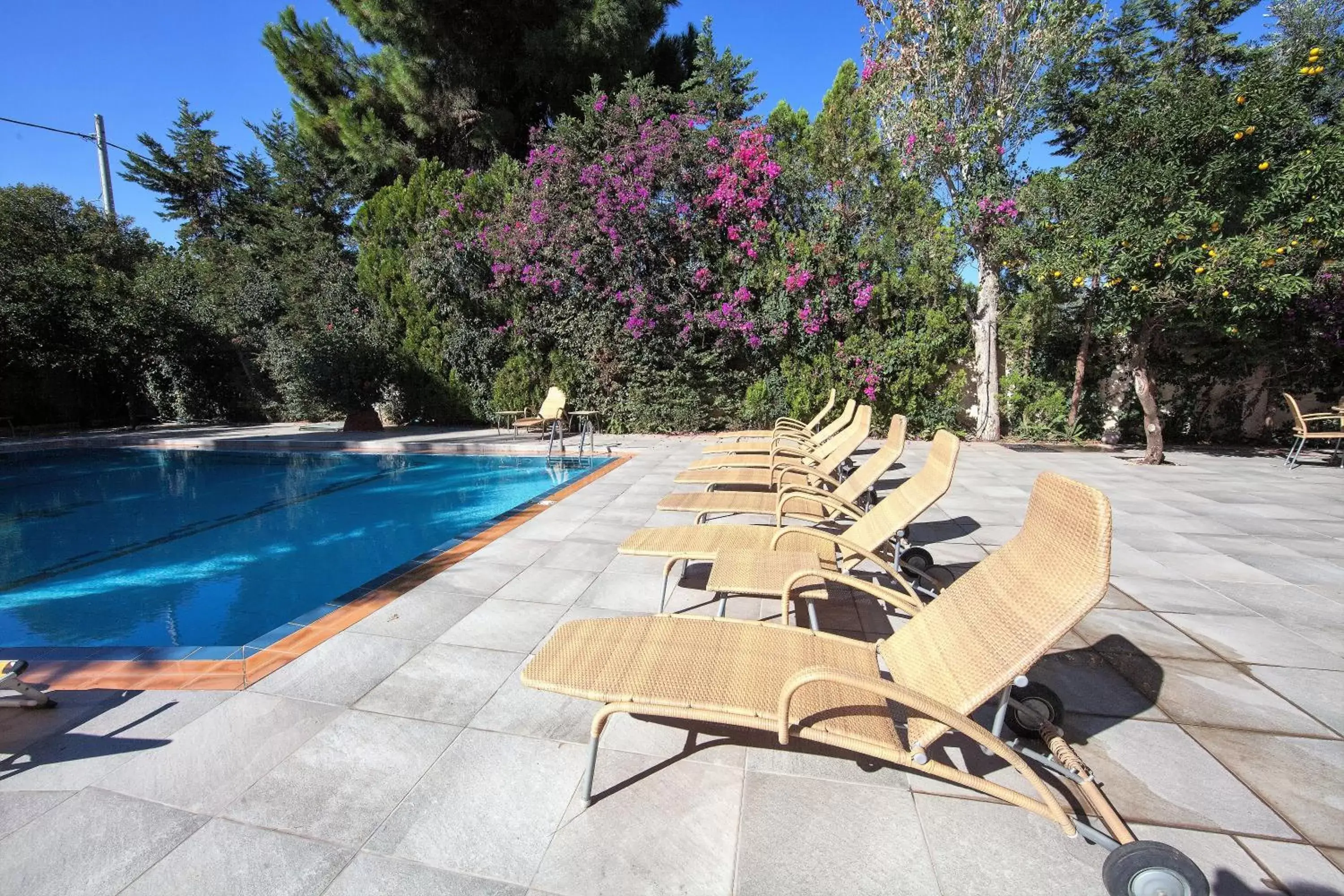 Garden, Swimming Pool in Thomas Beach Hotel