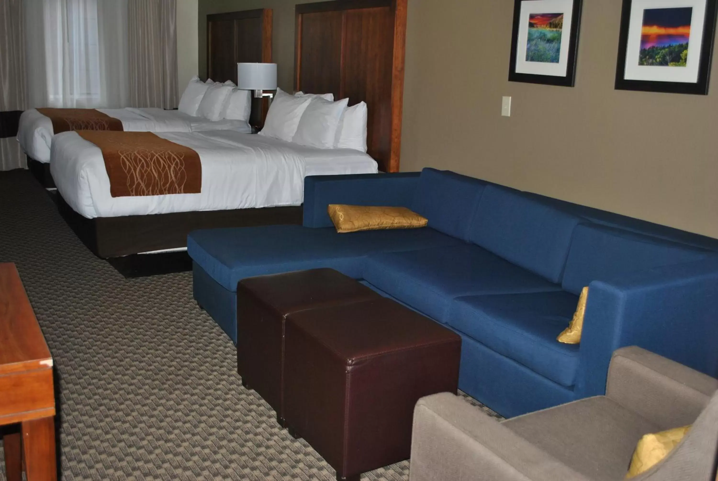 Comfort Inn & Suites Midtown