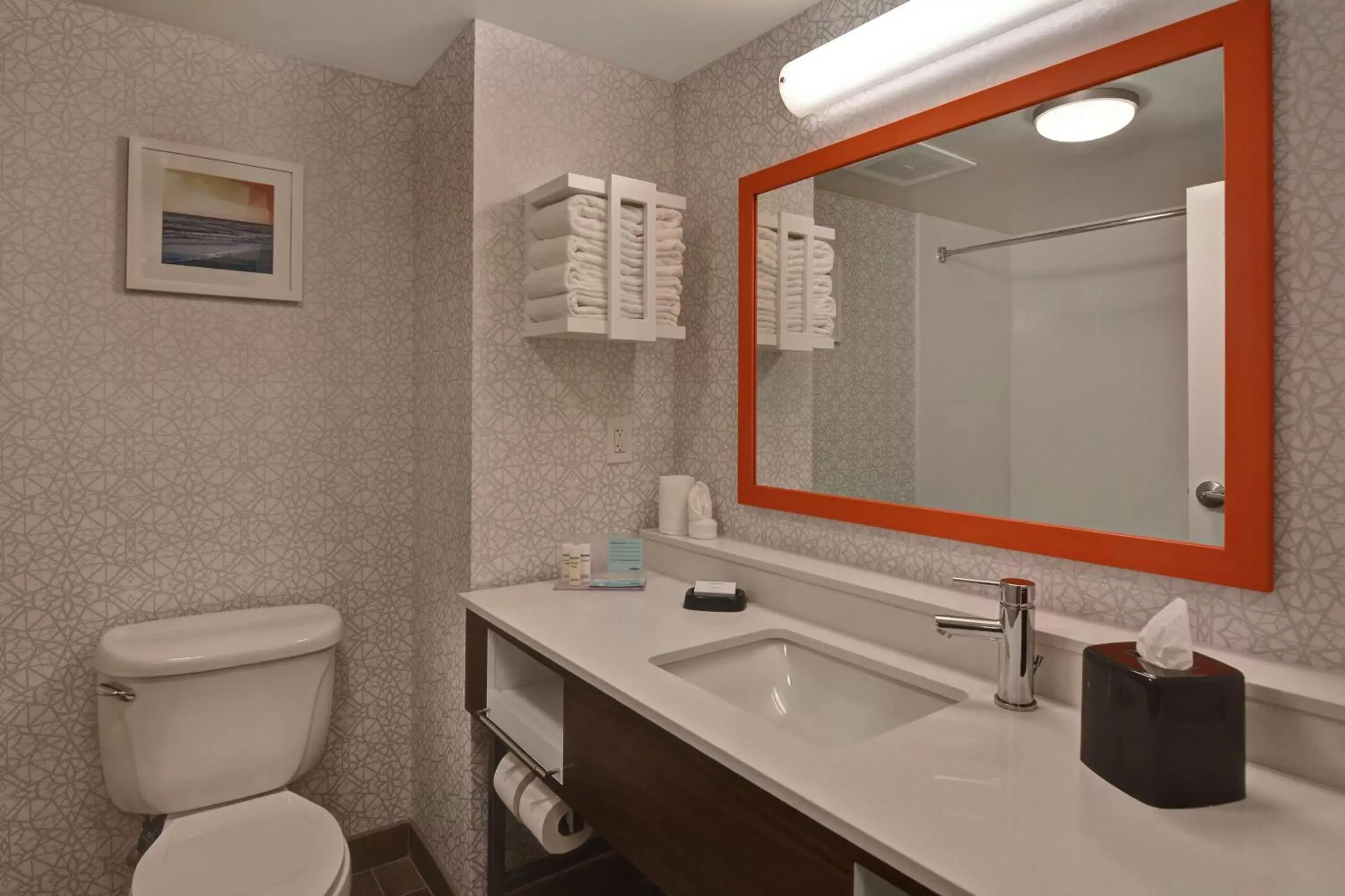 Bathroom in Hampton Inn & Suites Clearwater/St. Petersburg-Ulmerton Road