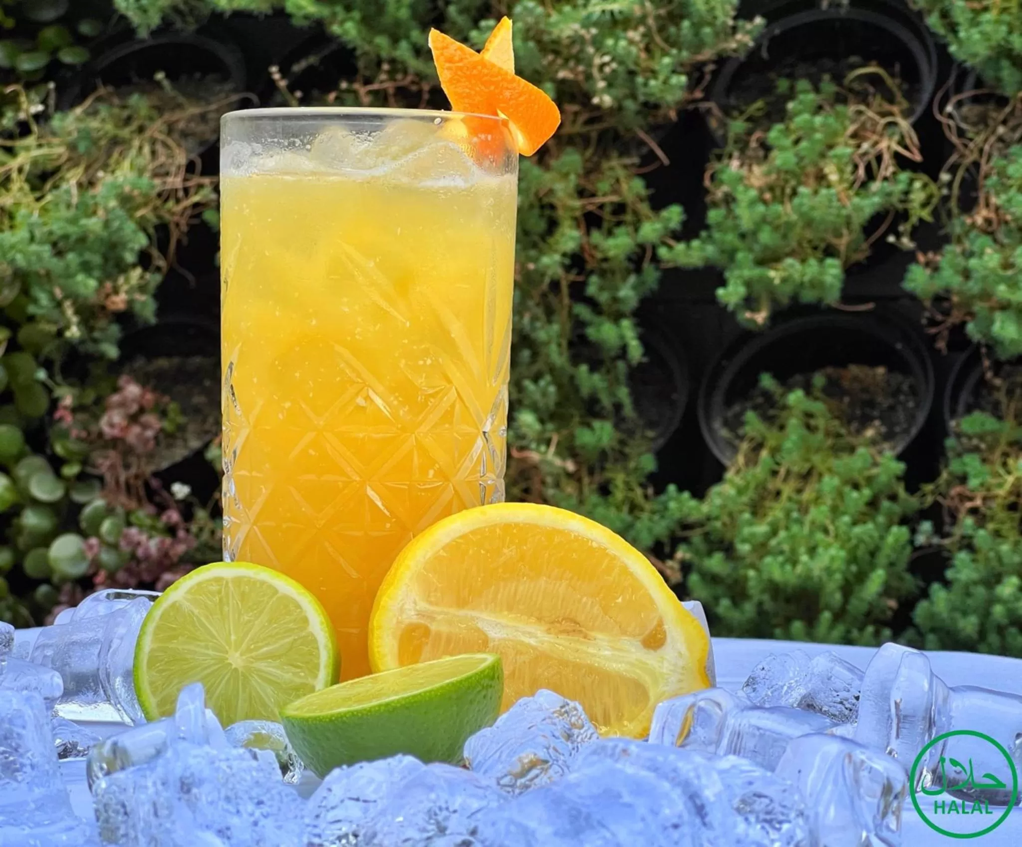 Drinks in Marjan Plaza Hotel