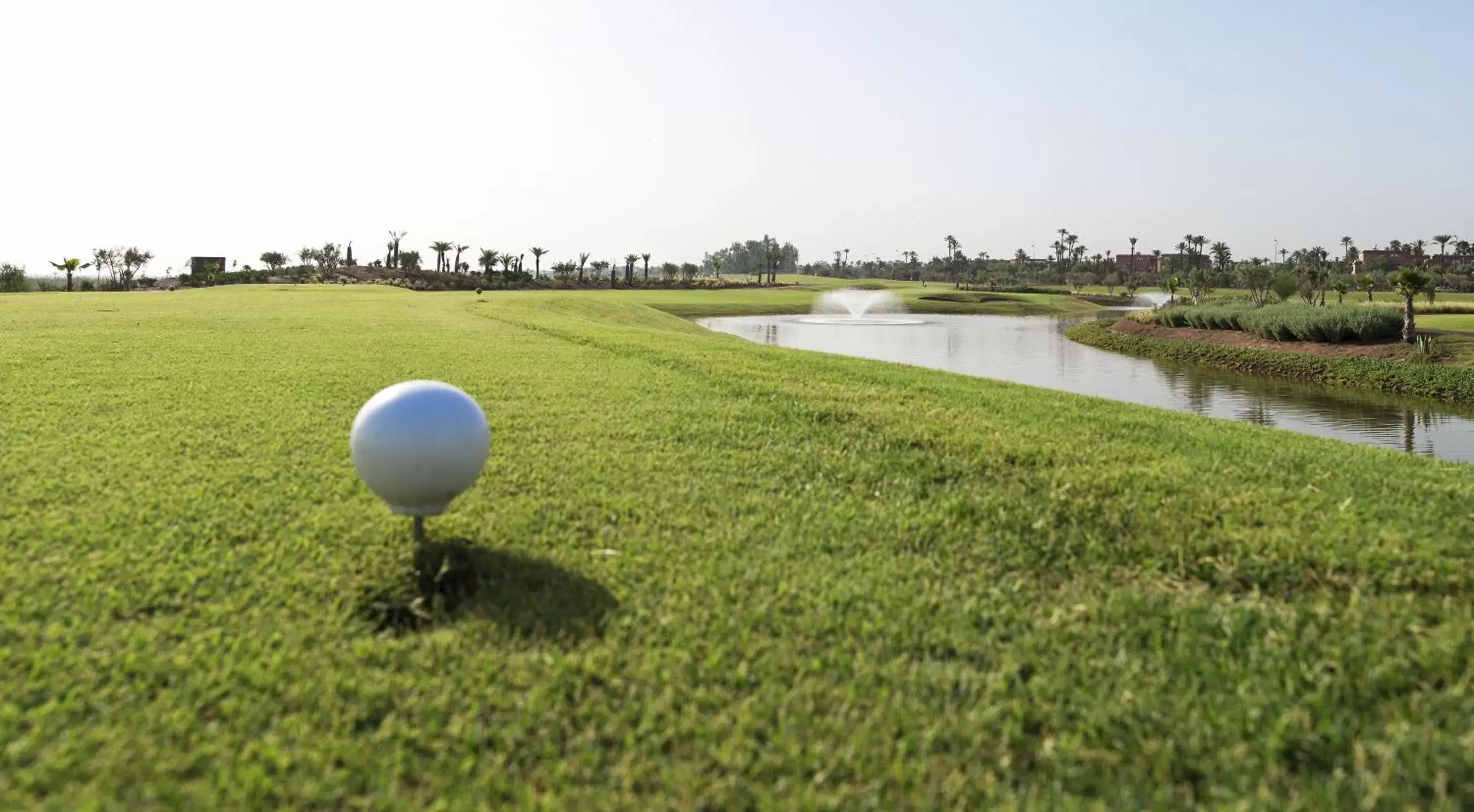 Golfcourse in Hôtel Du Golf Rotana Palmeraie