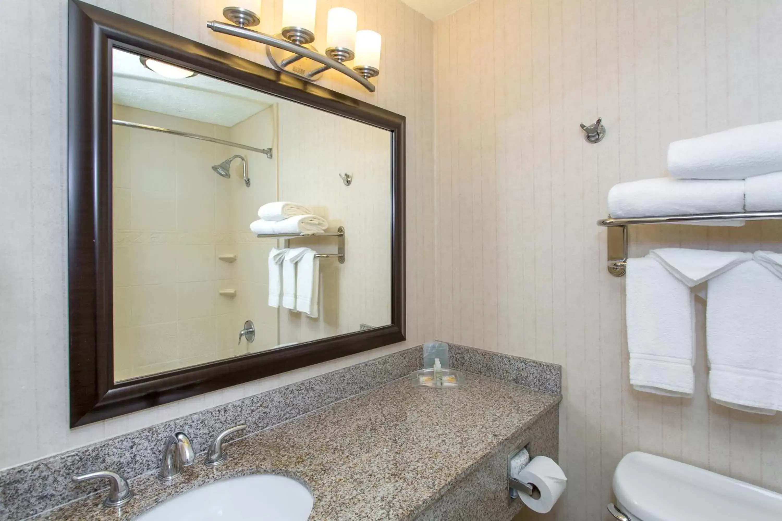 Photo of the whole room, Bathroom in Holiday Inn Bloomington-University Area, an IHG Hotel
