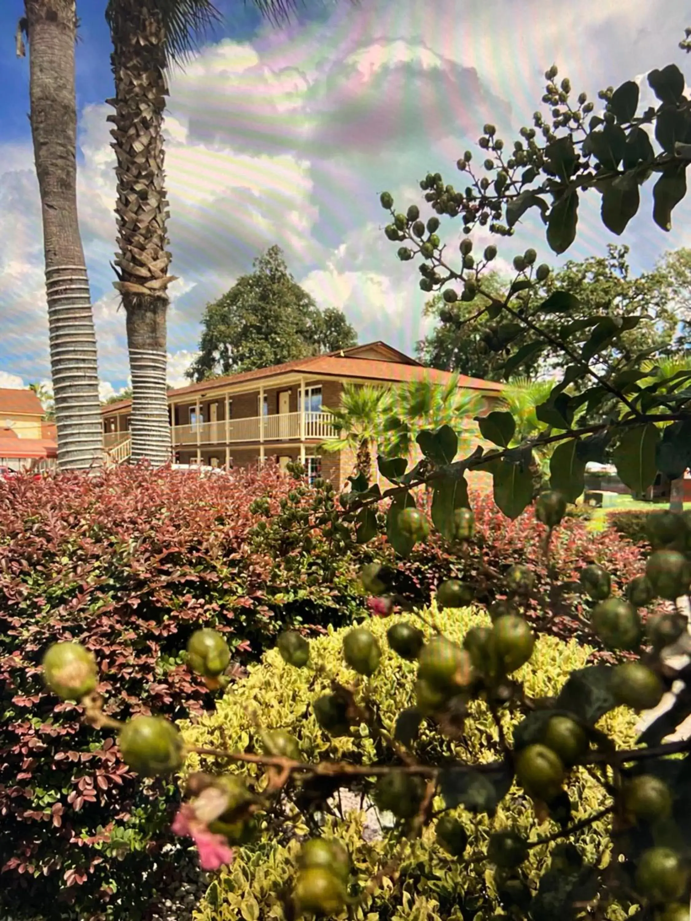 Savannah Inn and Suites Savannah Port Area Savannah Inn and Suites Savannah Port Area