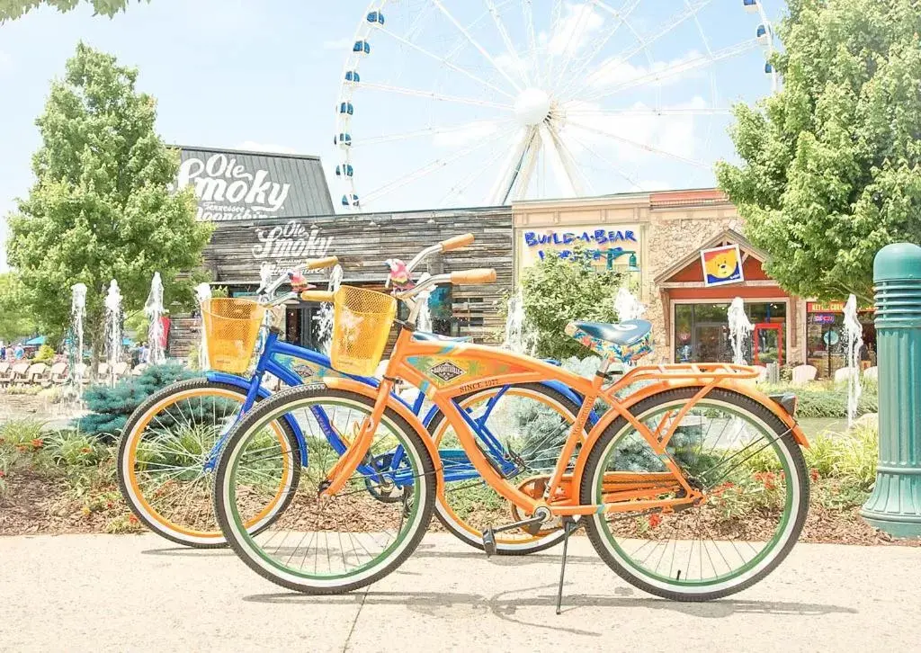 Cycling in Margaritaville Island Inn