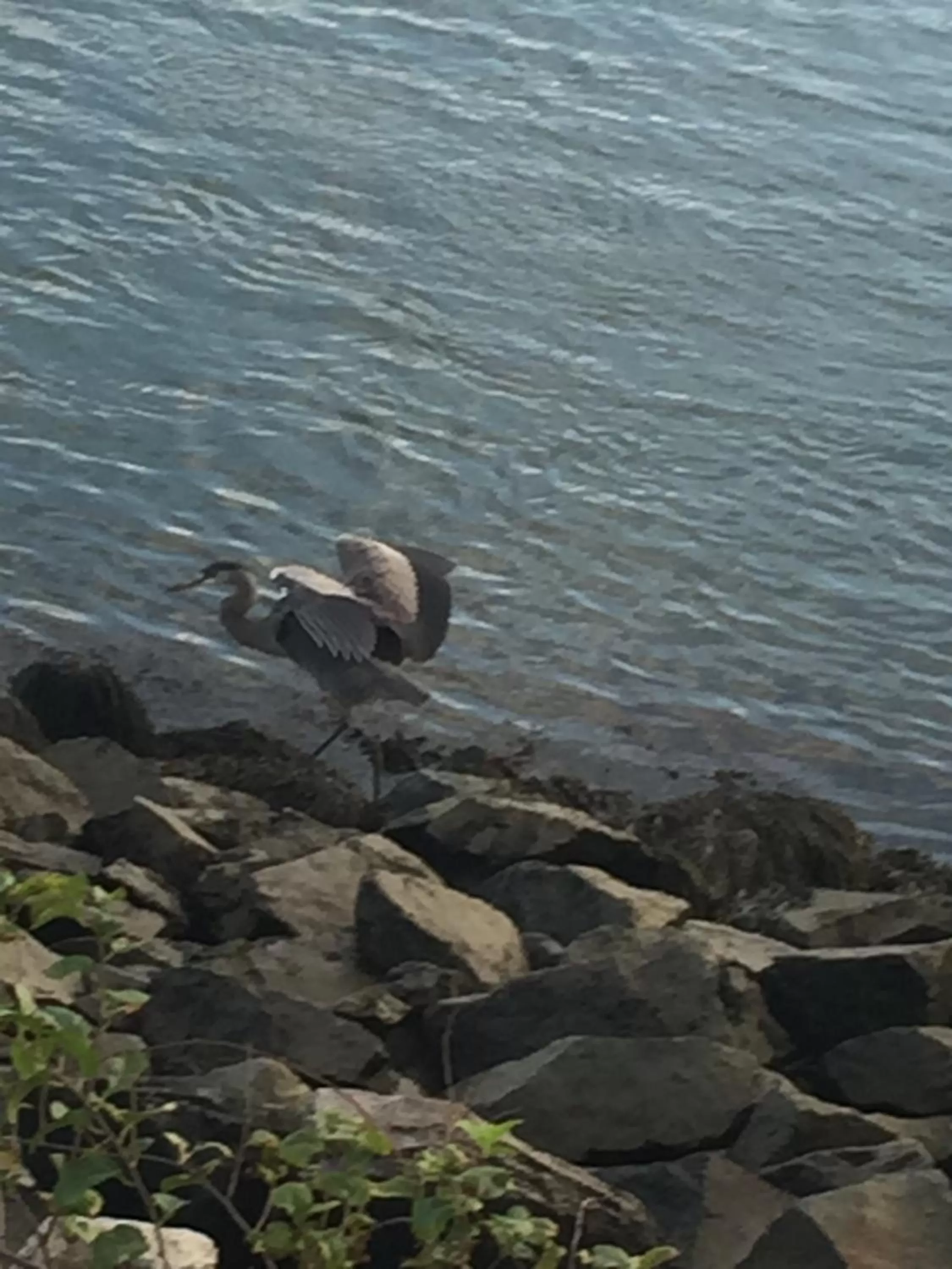 Inn 38 Oak Bluff Circle