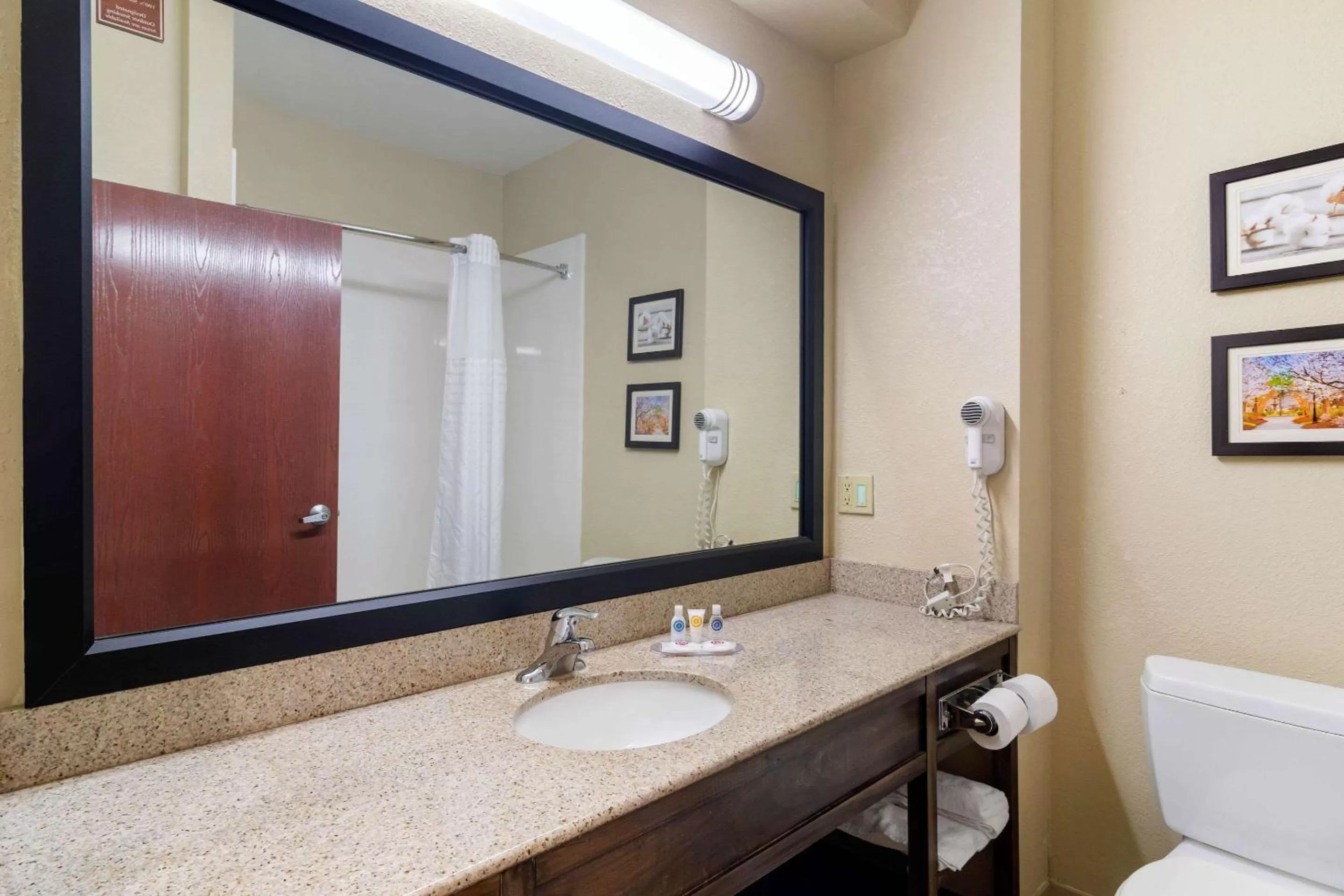 Bathroom in Comfort Inn & Suites Griffin North
