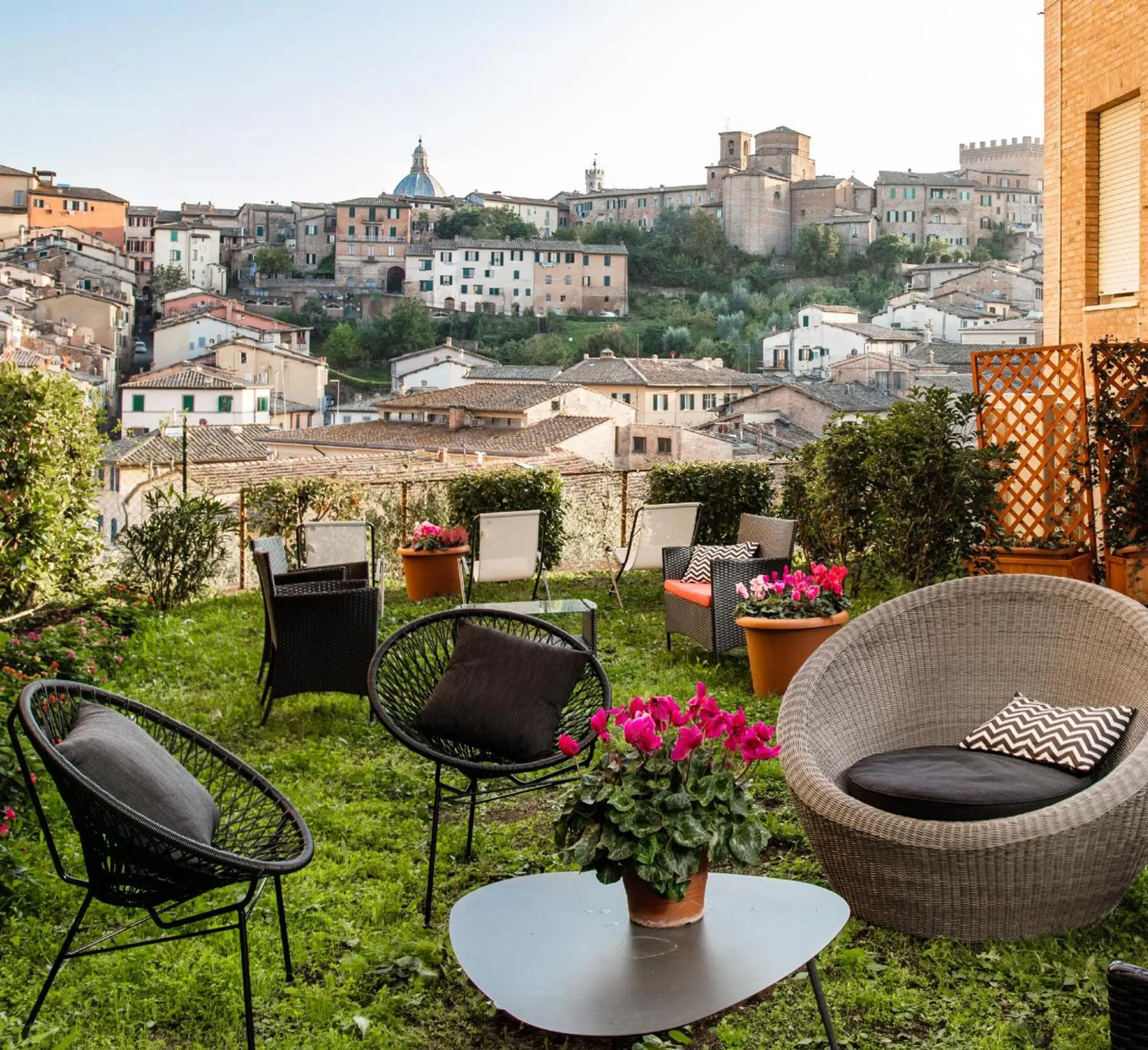 Garden in Hotel Minerva