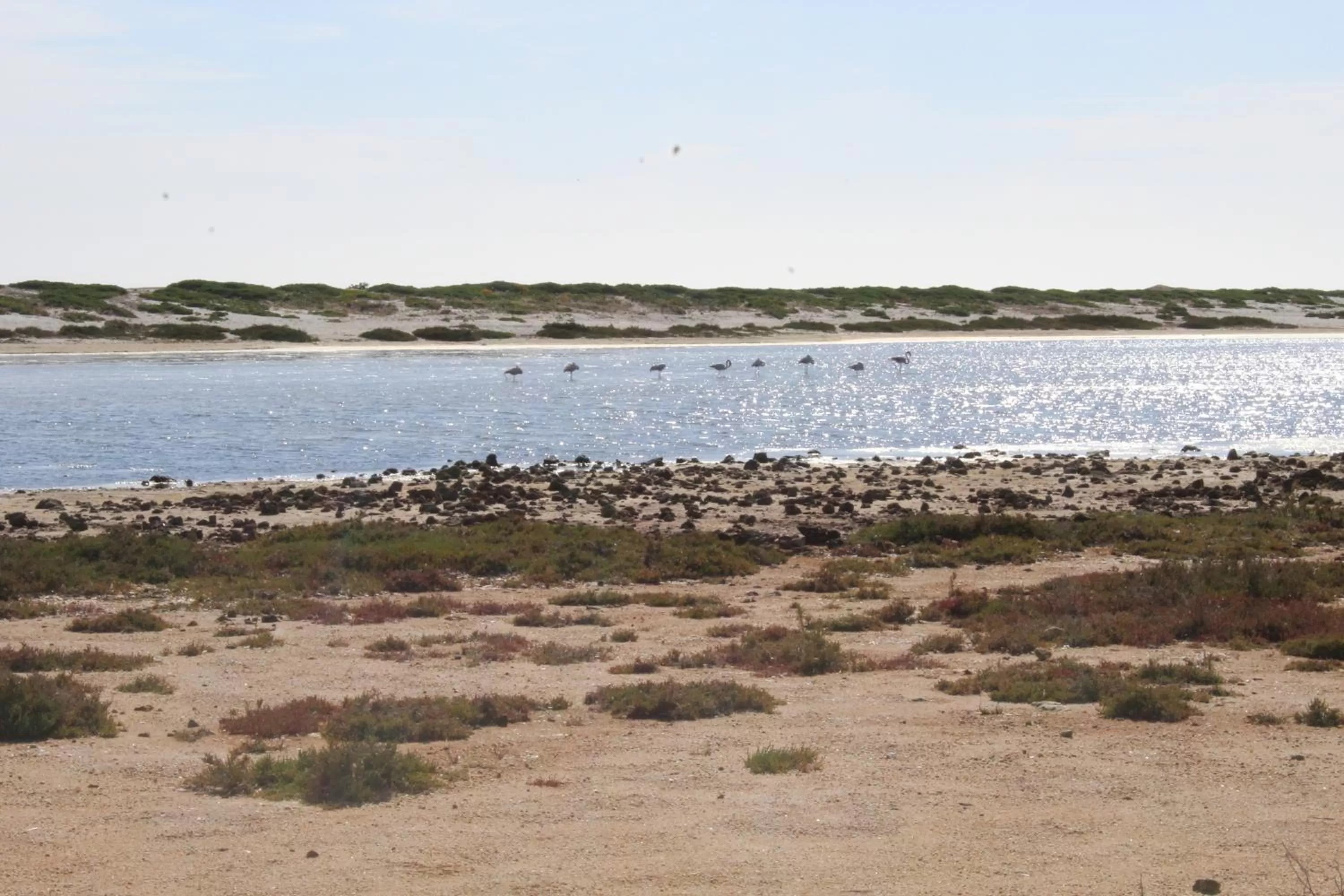 Beach in Bed & Breakfast Paui
