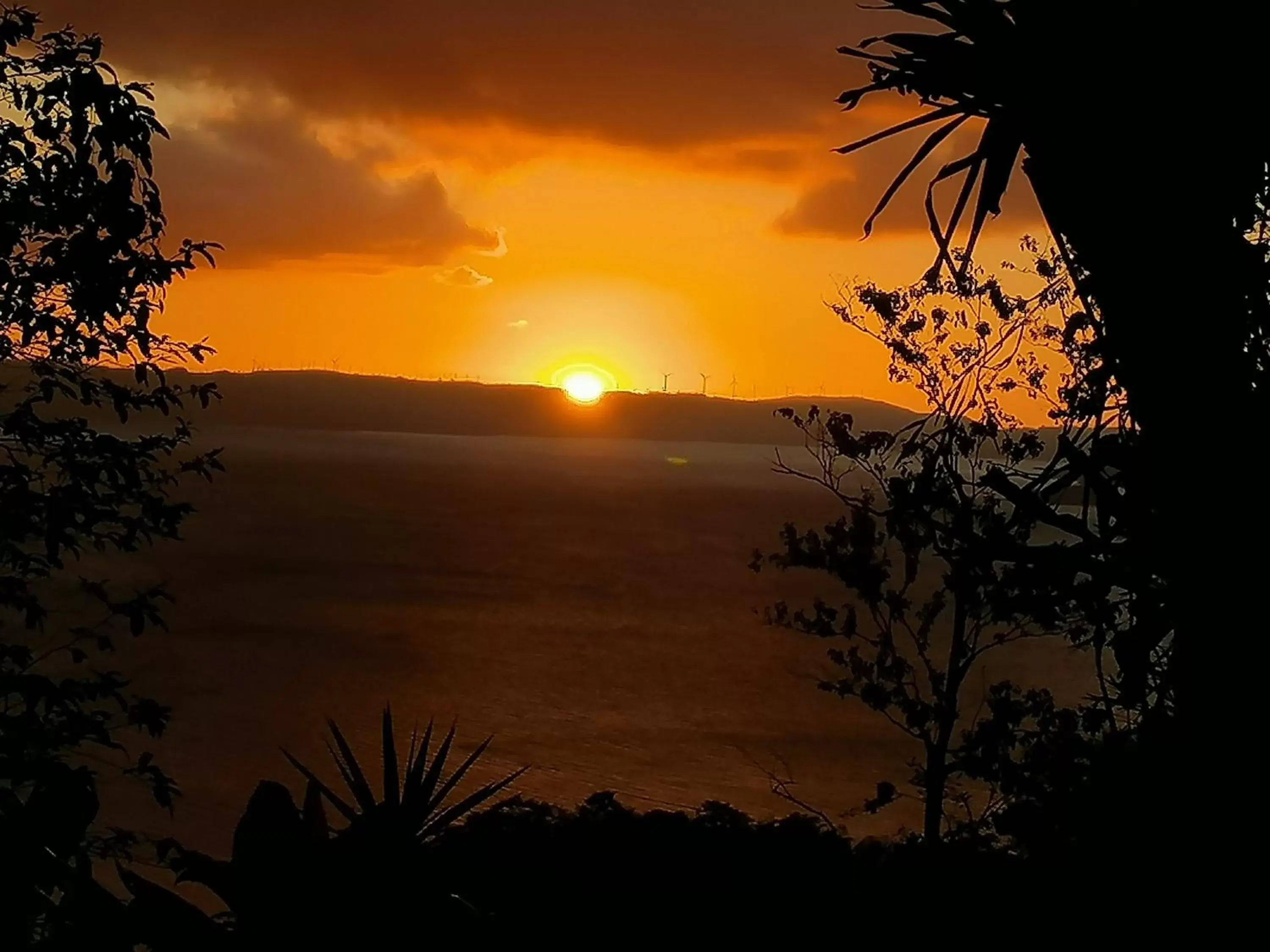 Property building, Sunrise/Sunset in La Ceiba Tree Lodge