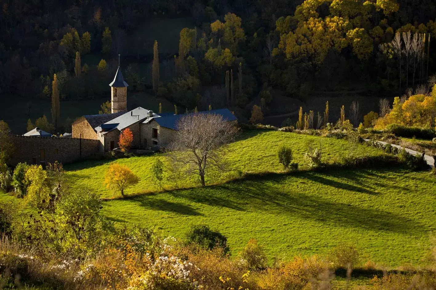 Natural landscape in Hotel Restaurant Les Brases