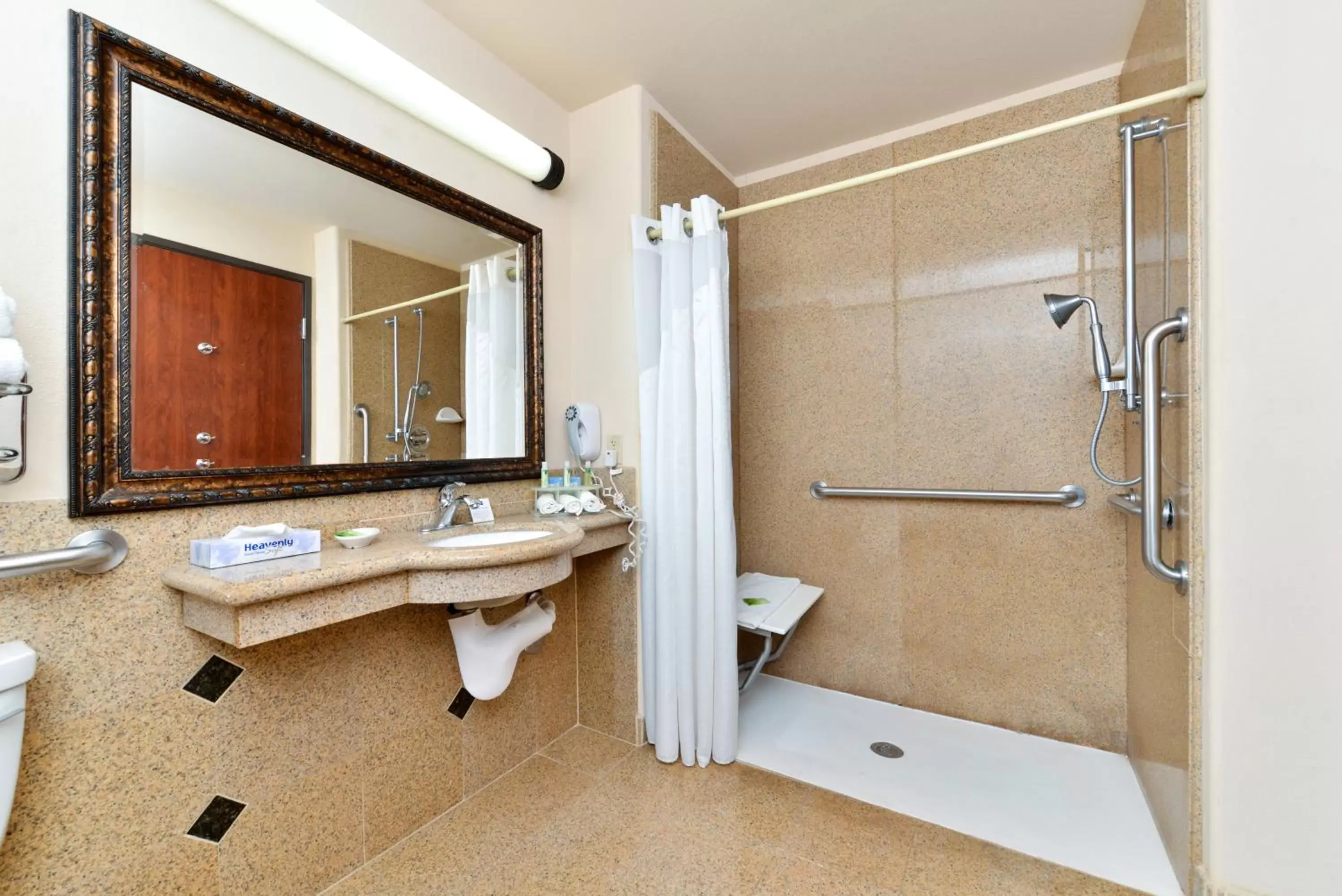 Photo of the whole room, Bathroom in Holiday Inn Express Hotel & Suites Las Cruces, an IHG Hotel