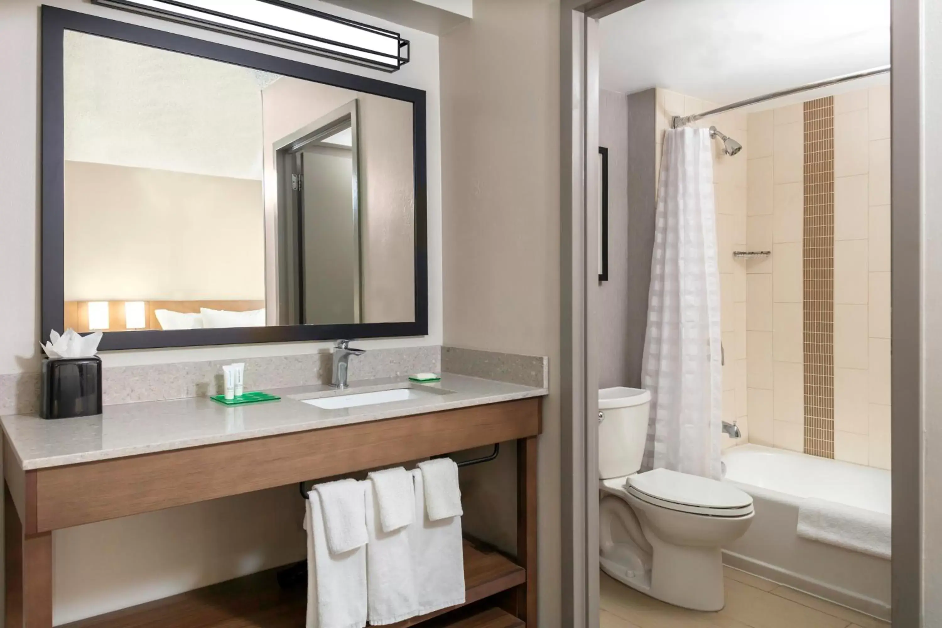 Bathroom in Hyatt Place-Dallas/Arlington