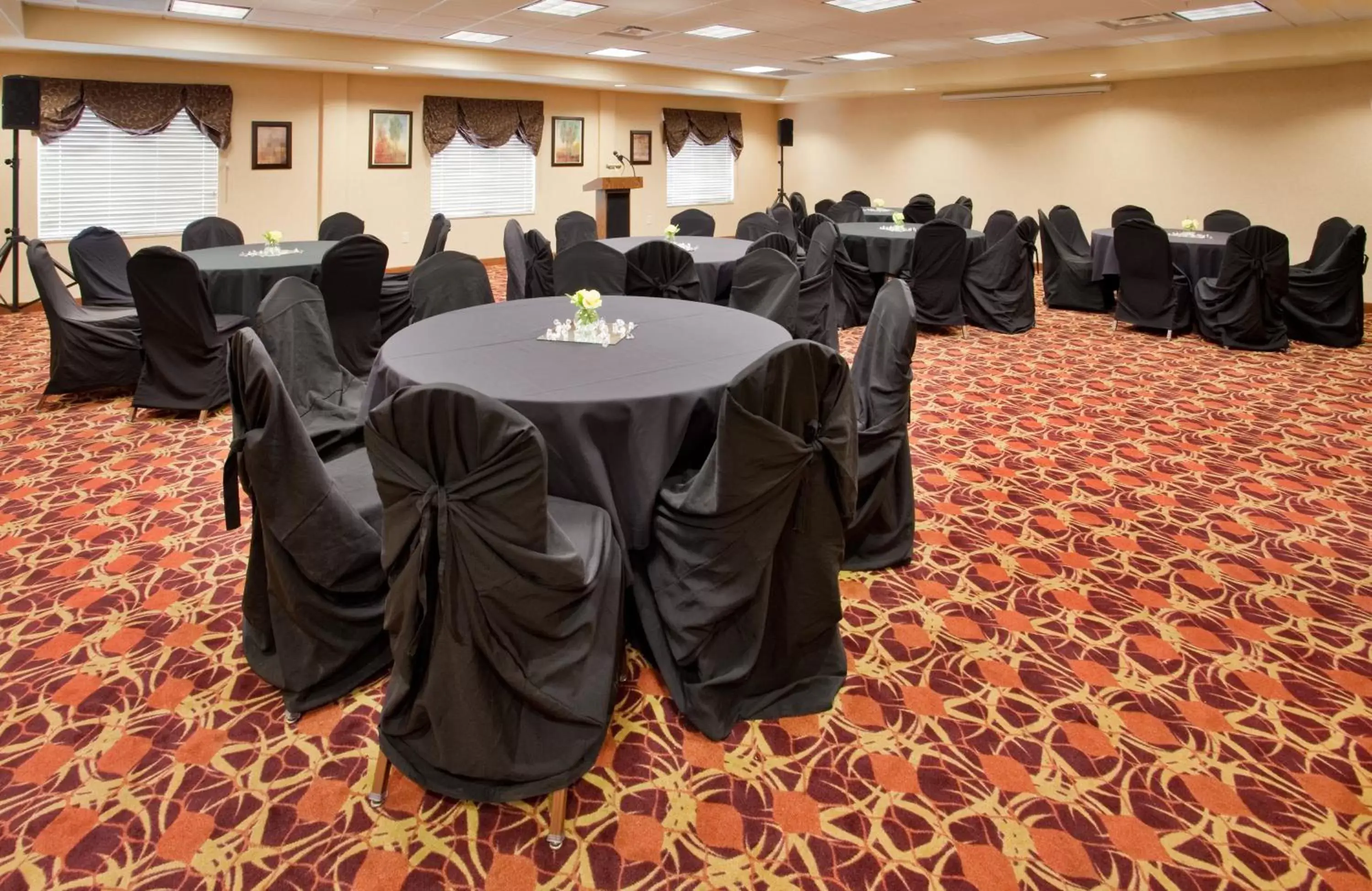 Meeting/conference room in Holiday Inn Express Las Cruces North, an IHG Hotel