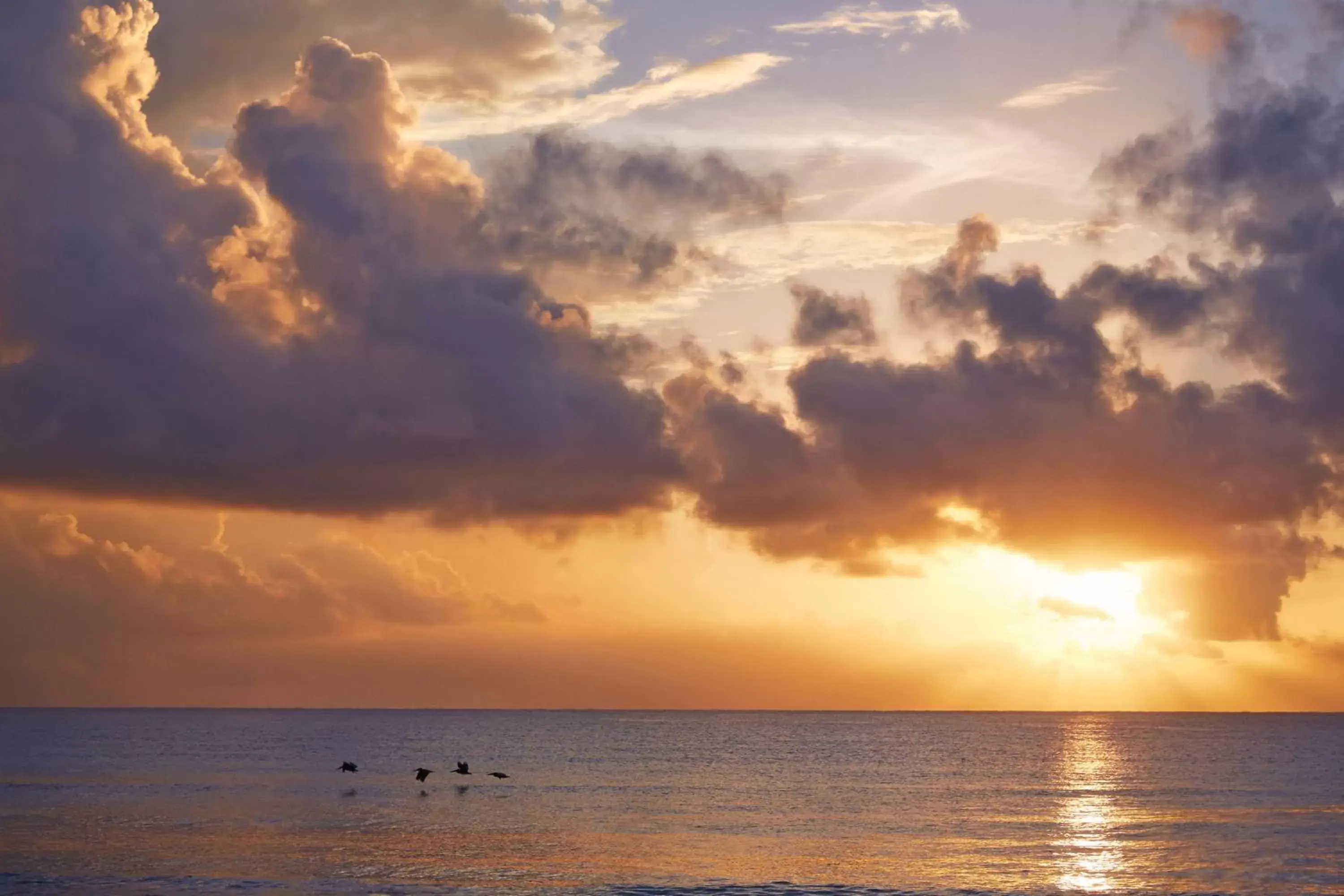 Beach, Sunrise/Sunset in Viceroy Riviera Maya, a Luxury Villa Resort