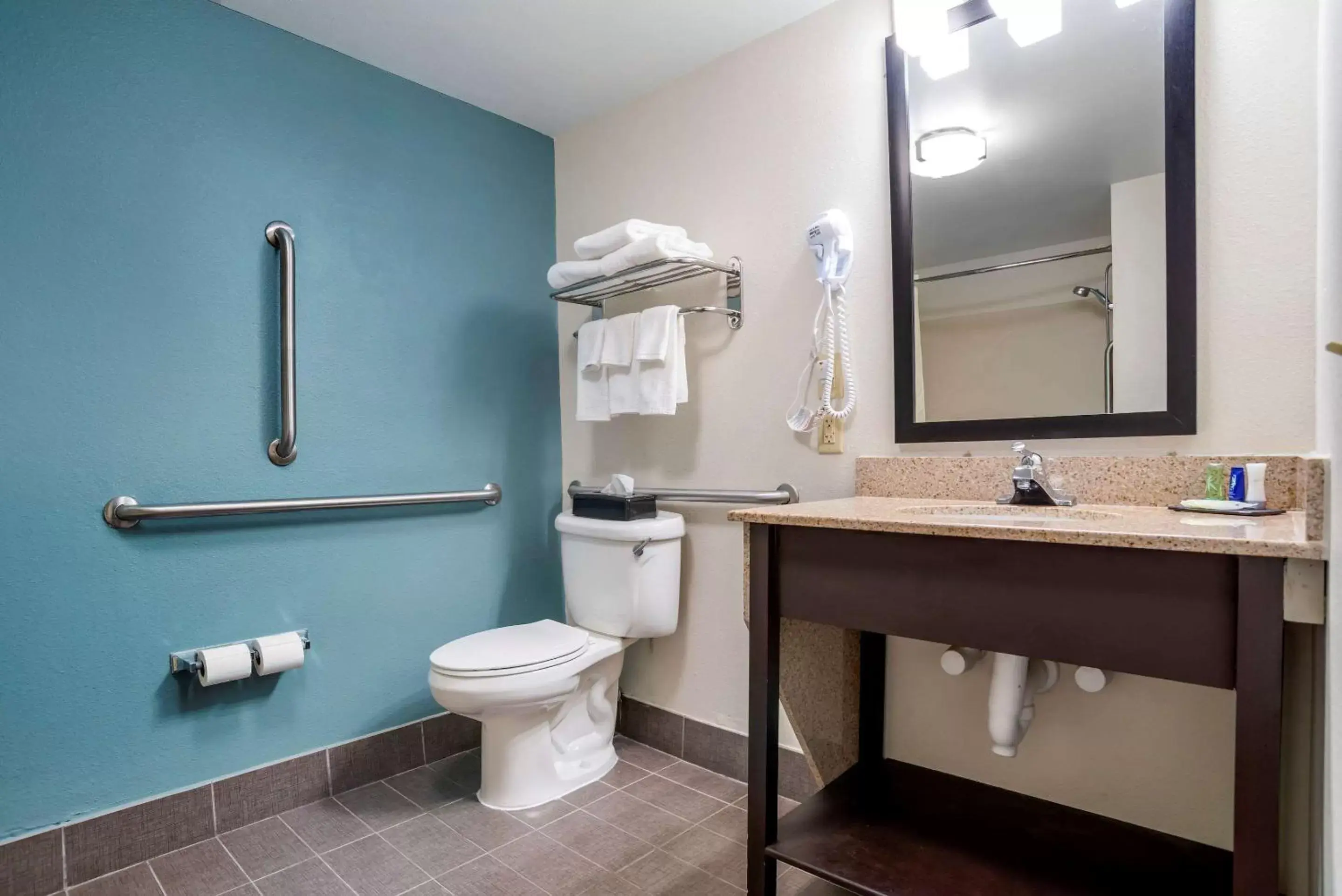 King Room with Roll-In Shower - Accessible/Non-Smoking in Sleep Inn & Suites Auburn Campus Area I-85 King Room with Roll-In Shower - Accessible/Non-Smoking in Sleep Inn & Suites Auburn Campus Area I-85