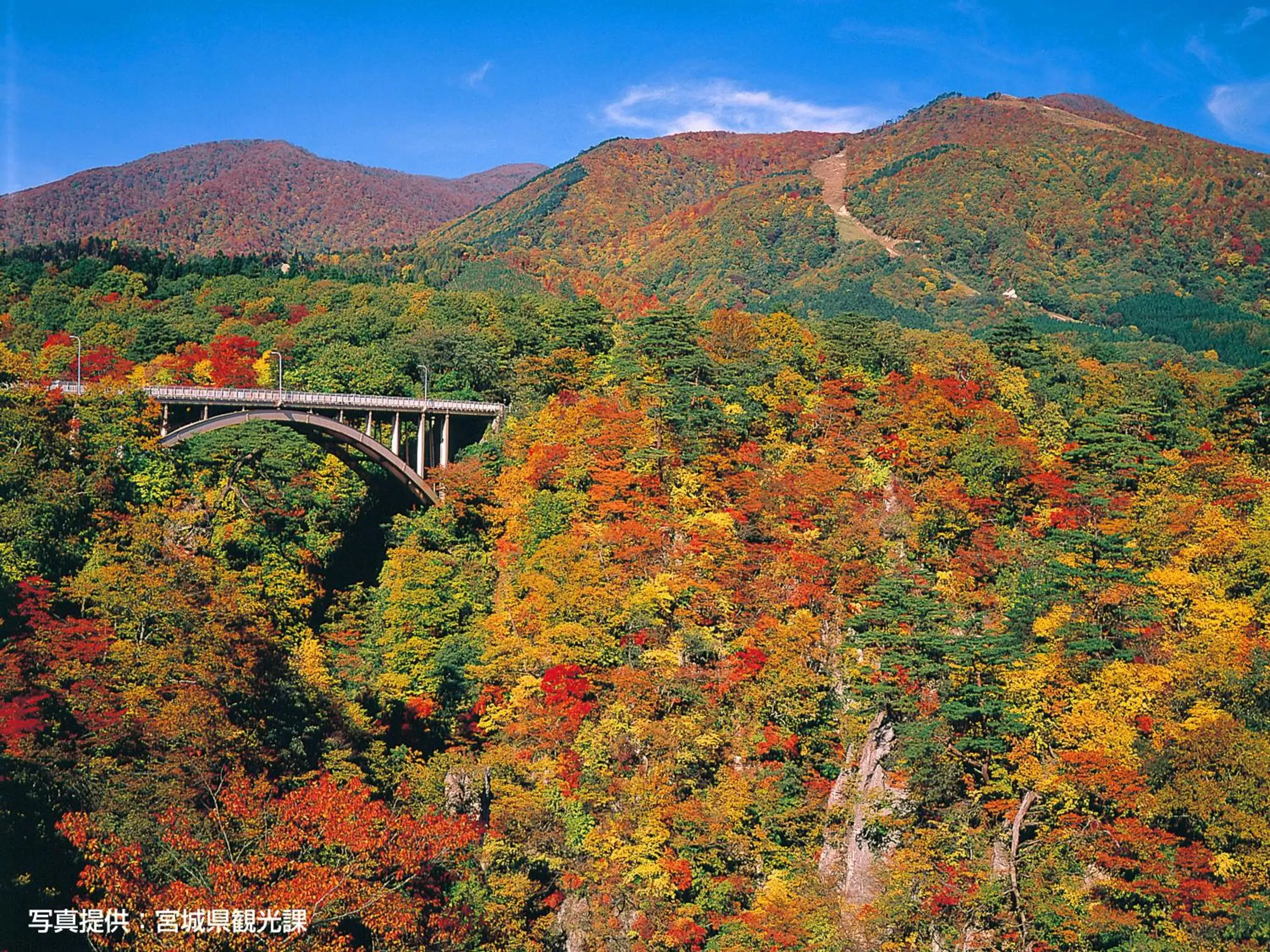 Natural Landscape in Hotel Green Line