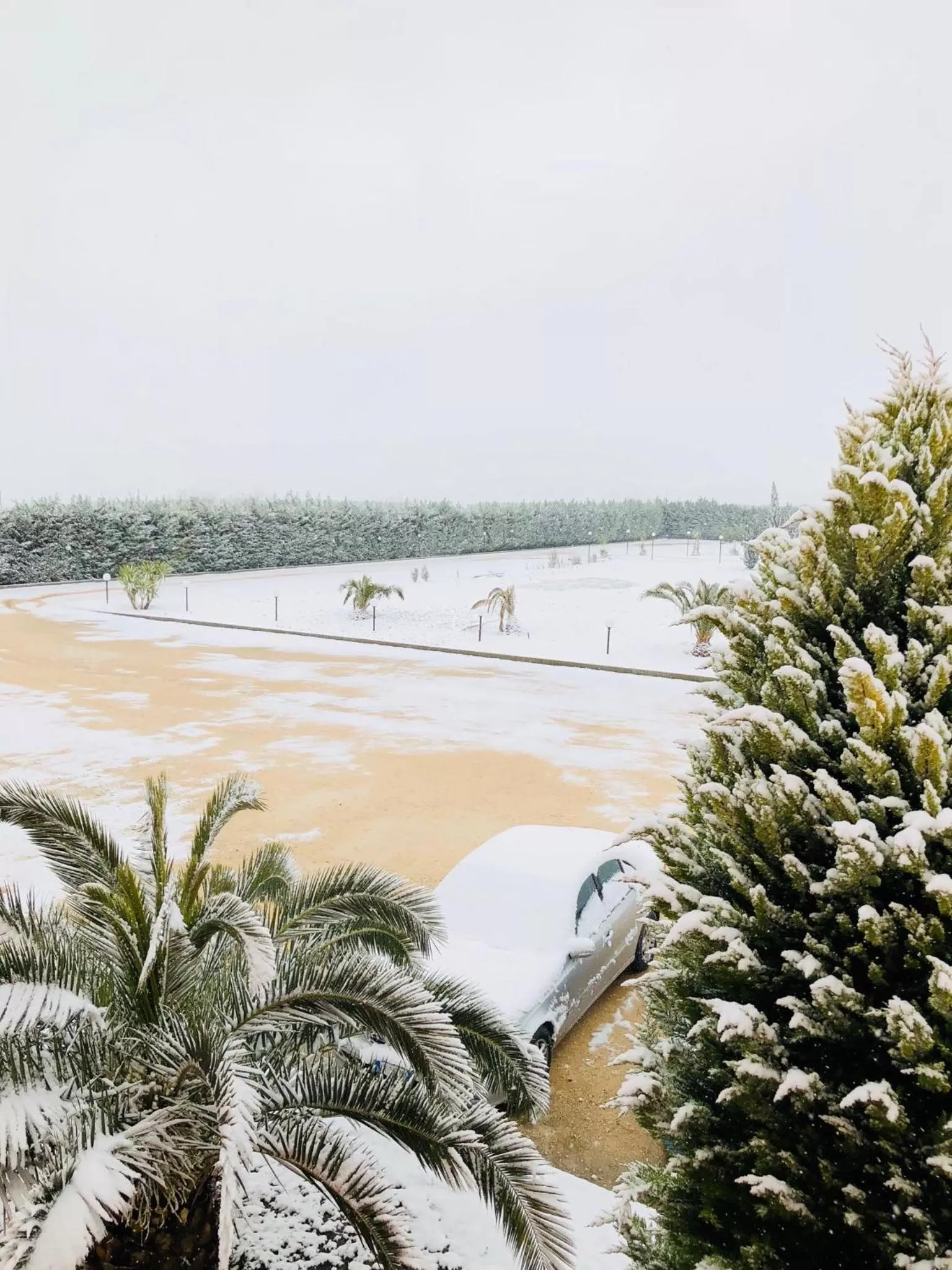 Winter in Hotel Agri Resort "Agorà"