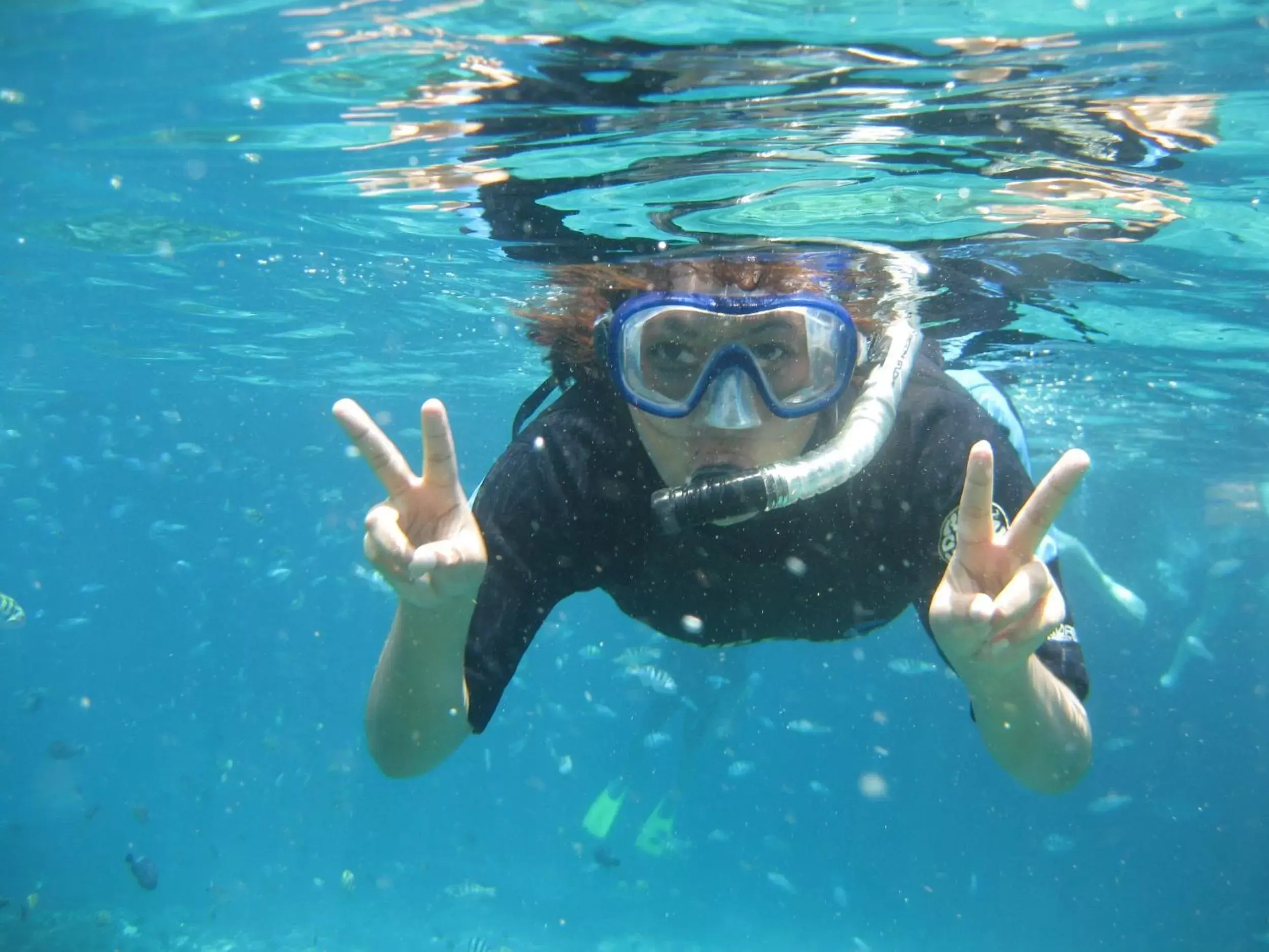 Snorkeling, Snorkeling/Diving in Lembongan Beach Club & Resort