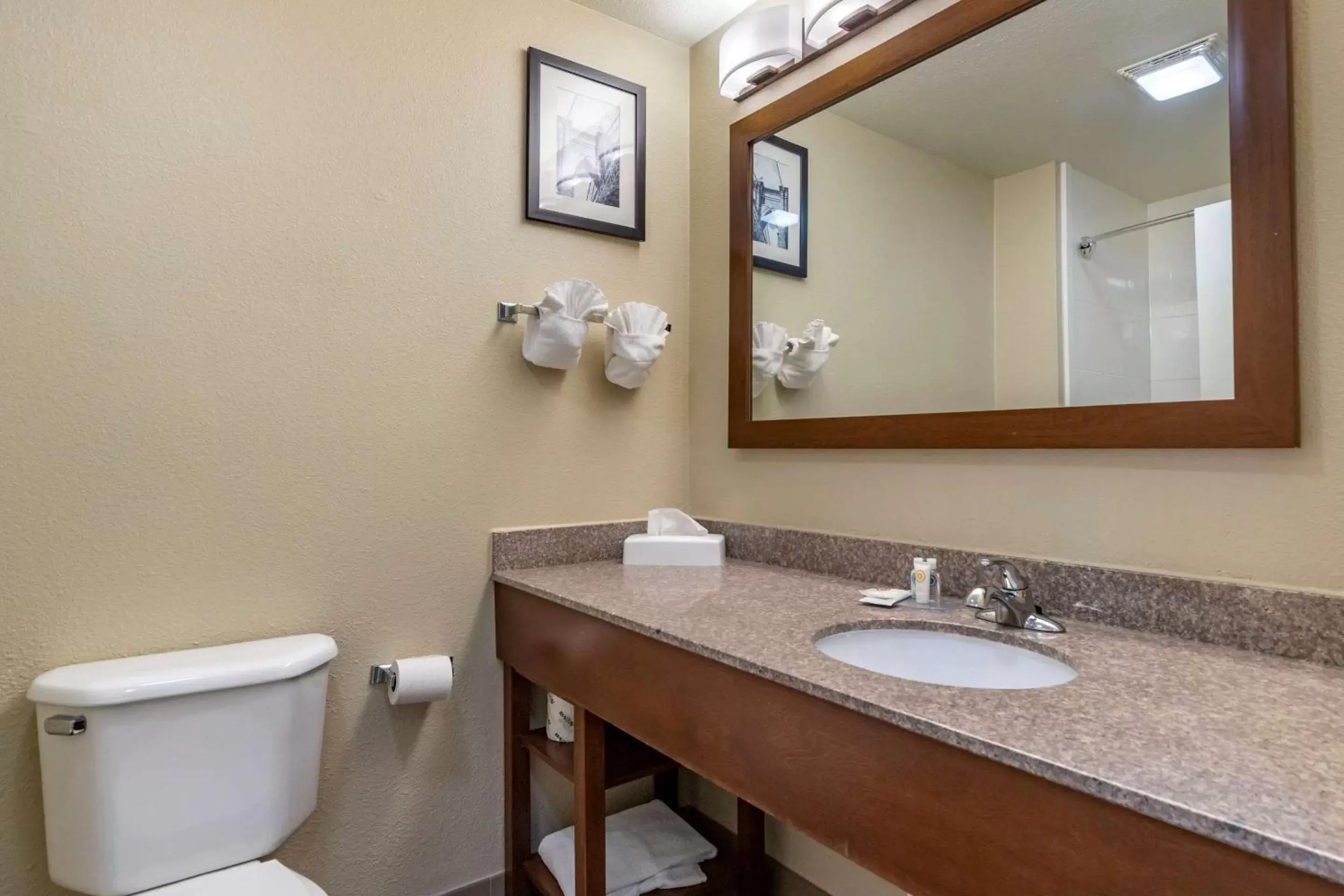 Bathroom in Comfort Inn & Suites Texas Hill Country