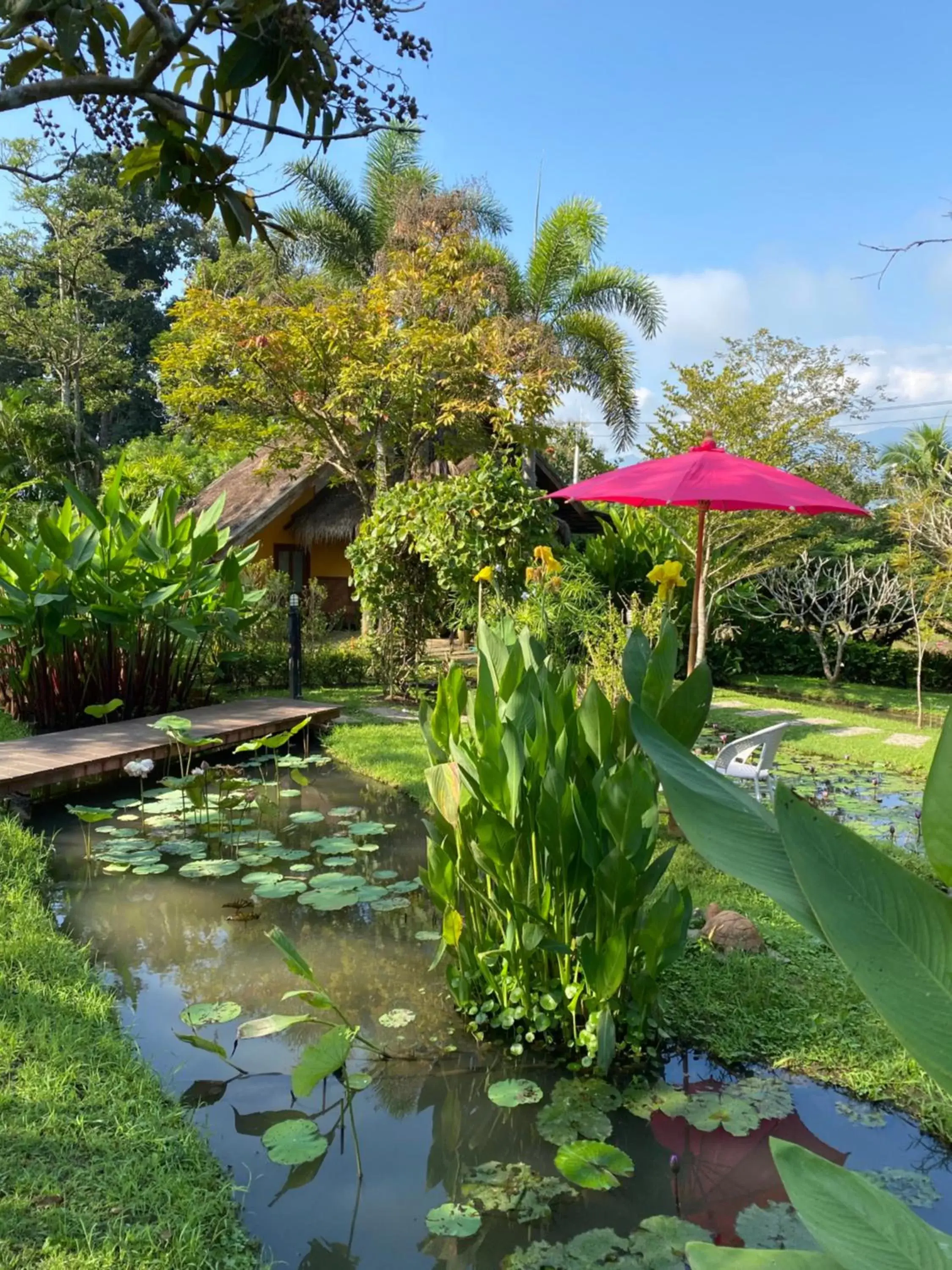 Garden in Pura Vida Pai Resort