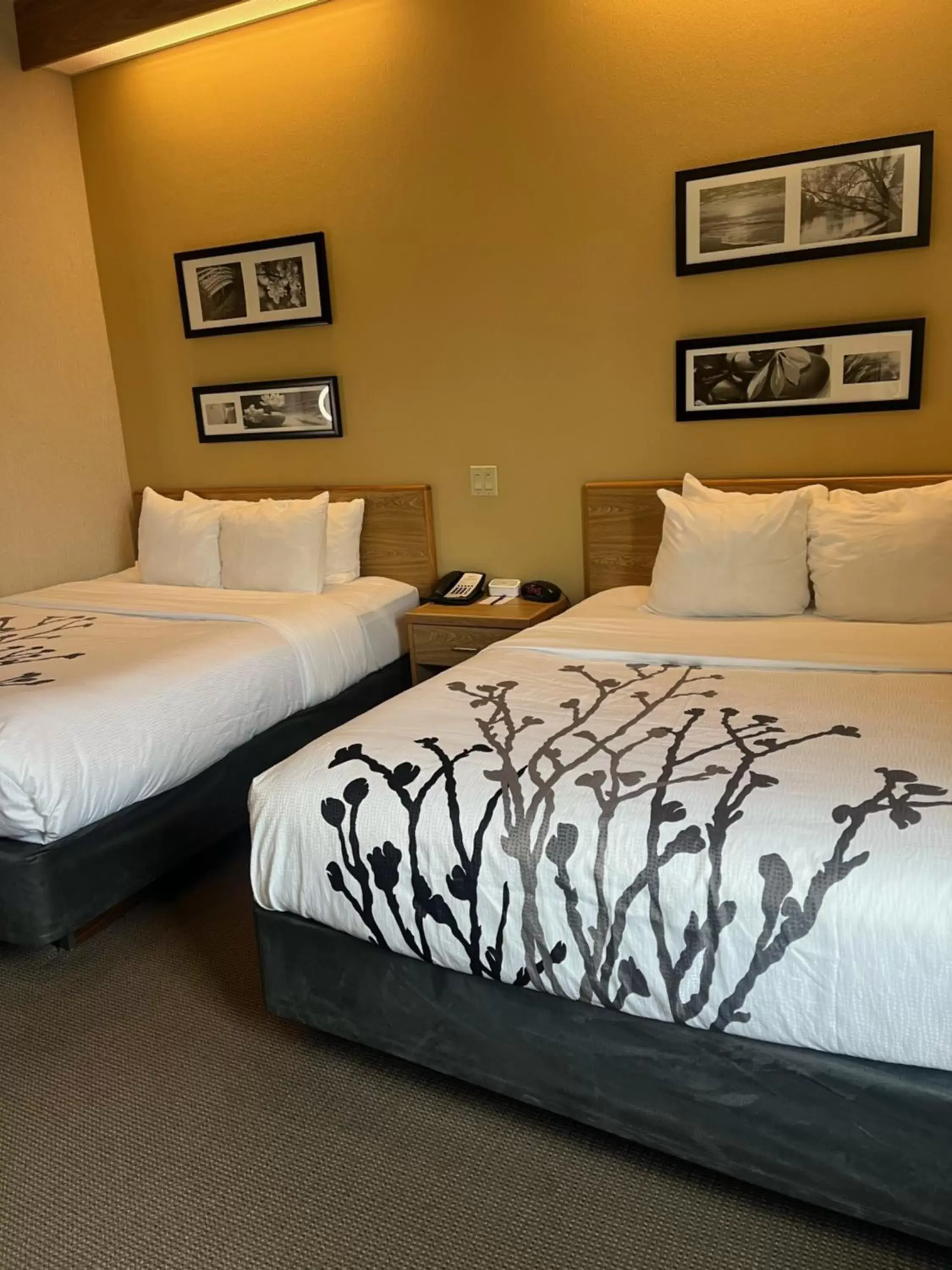 Bed in Sleep Inn Lynchburg - University Area & Hwy 460