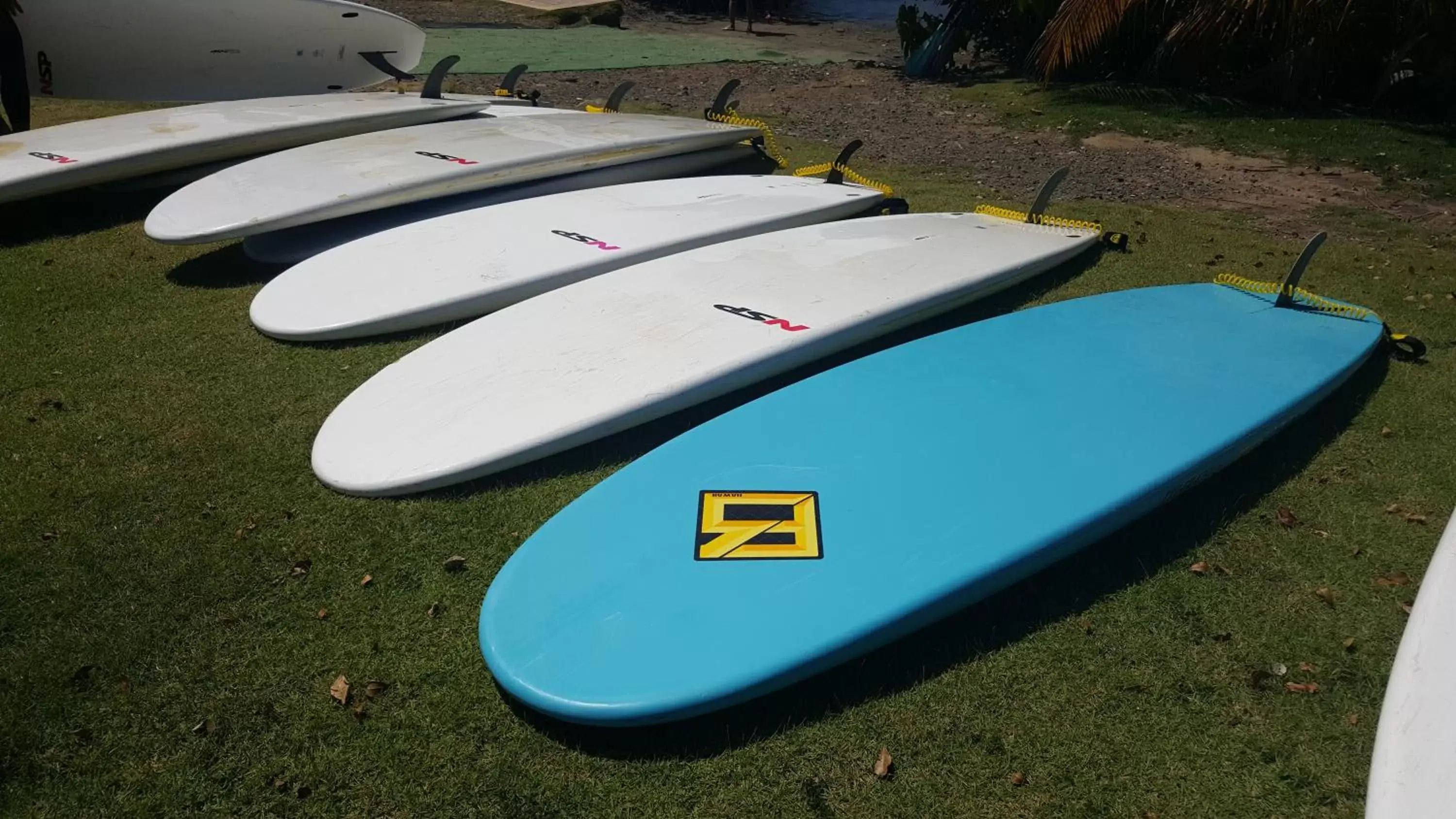 Canoeing in The Wave Hotel Condado