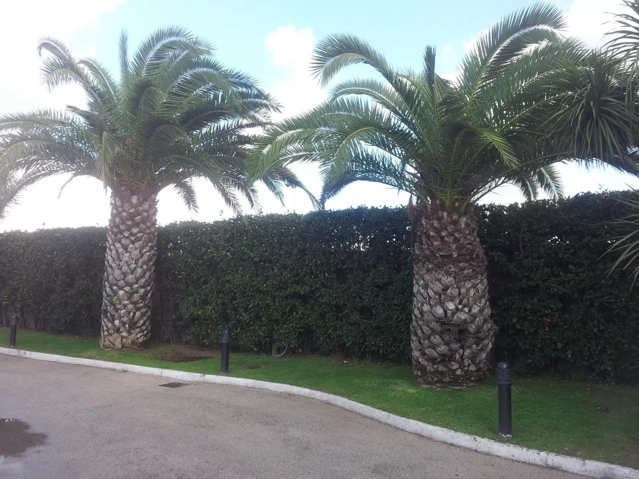 Facade/entrance, Property Building in Hotel Ginepro