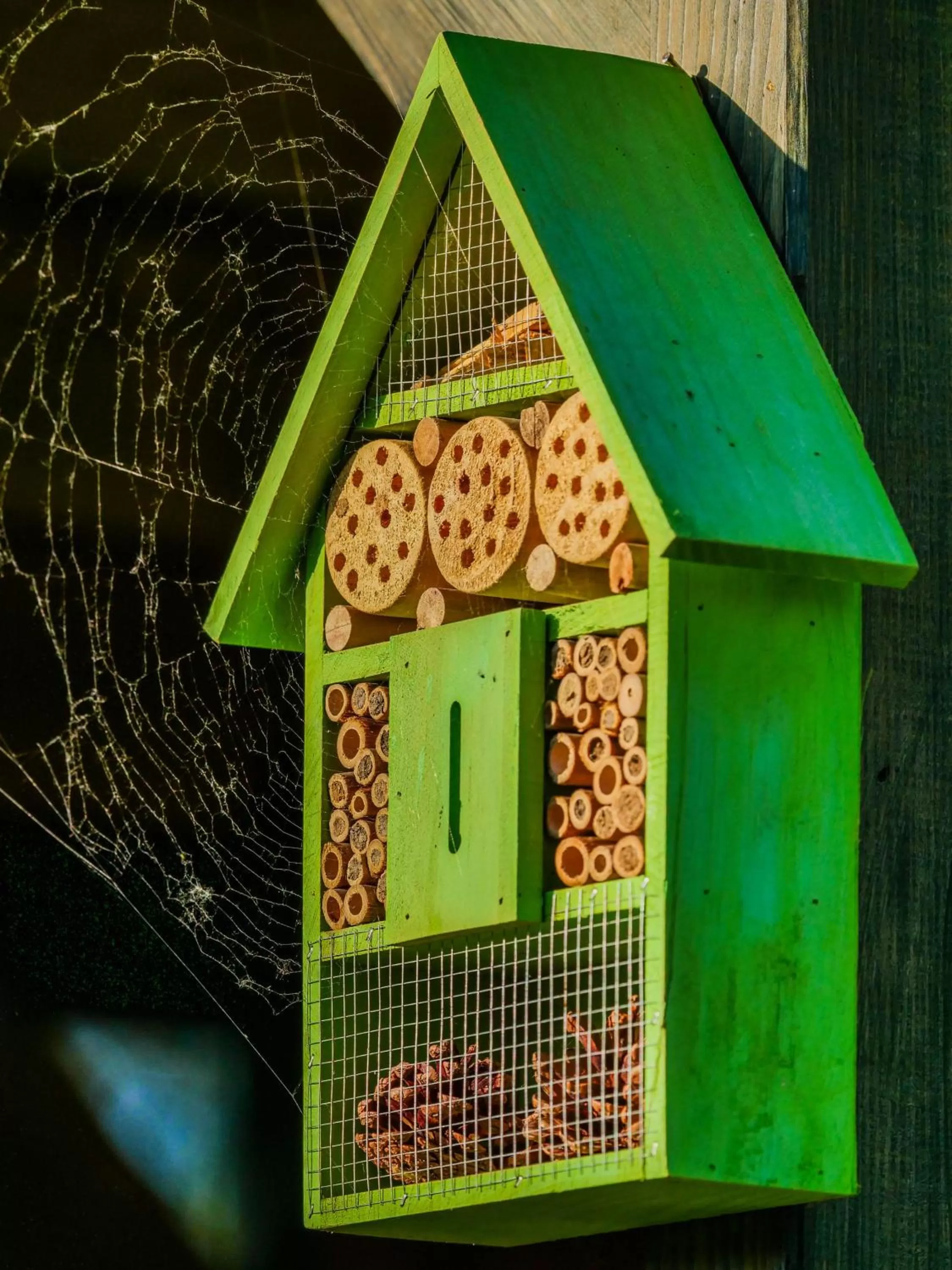Garden in Gästehaus Pointner