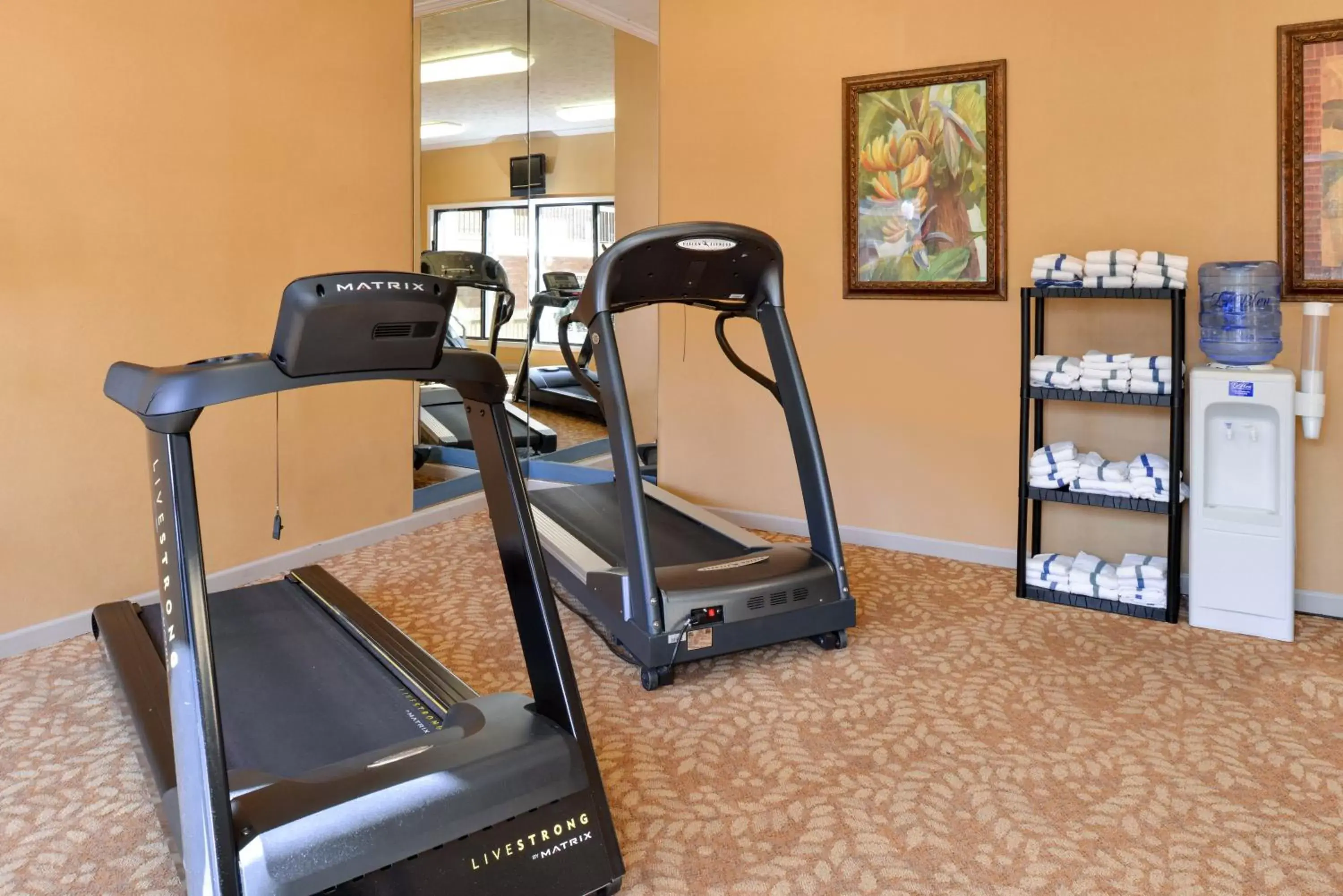 Fitness centre/facilities, Fitness Center/Facilities in SureStay Plus Hotel by Best Western Fayetteville